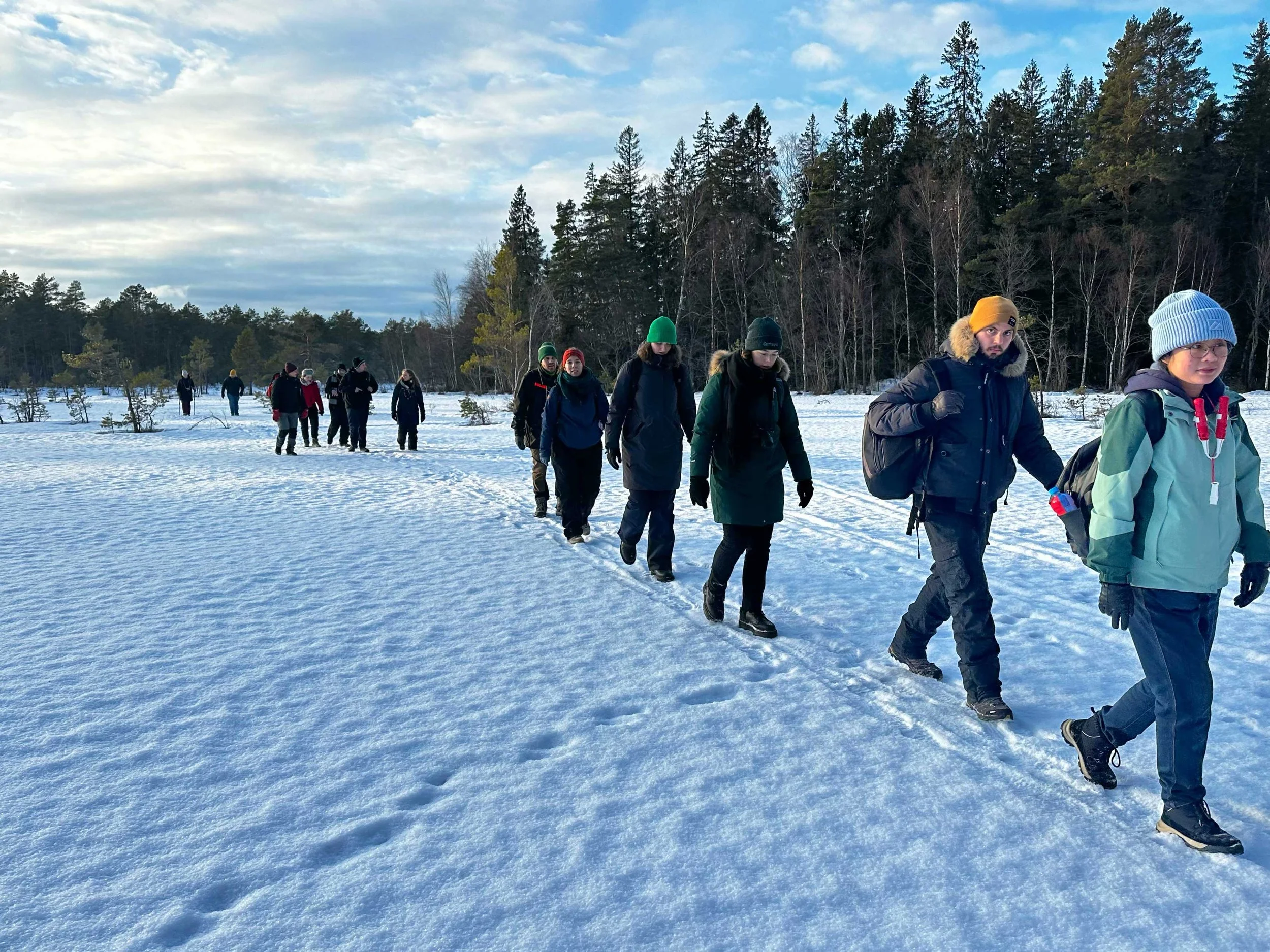 Lär dig spåra djur i snö