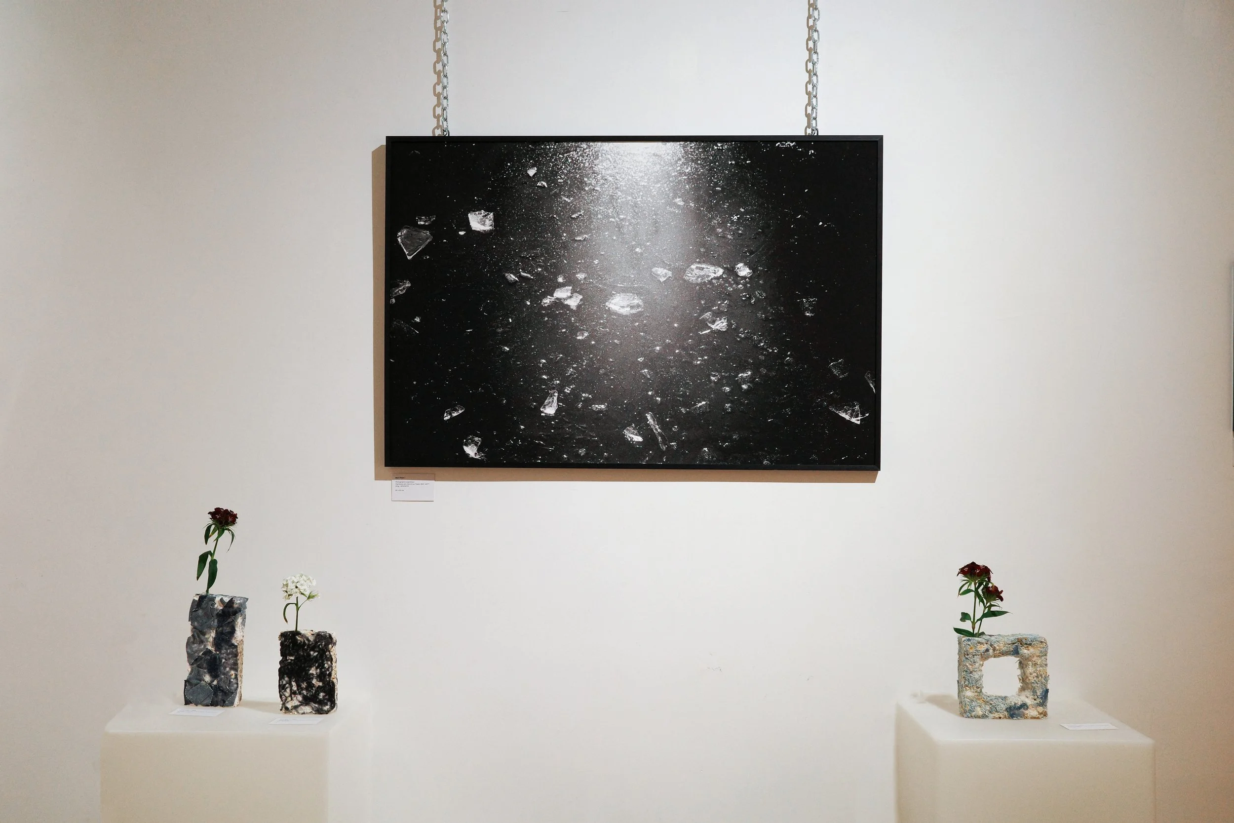 R0003400 no shadow.jpg