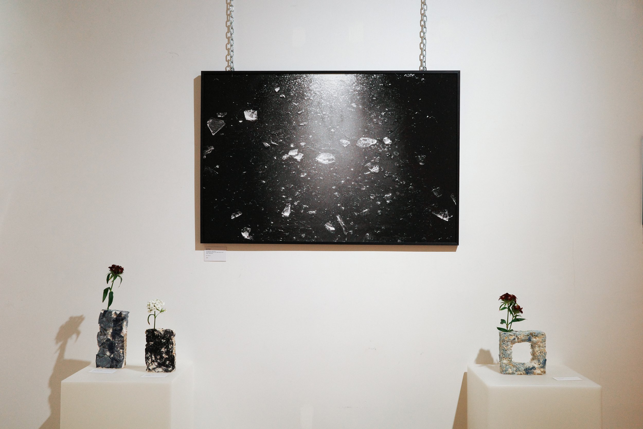 R0003400 with shadows.jpg