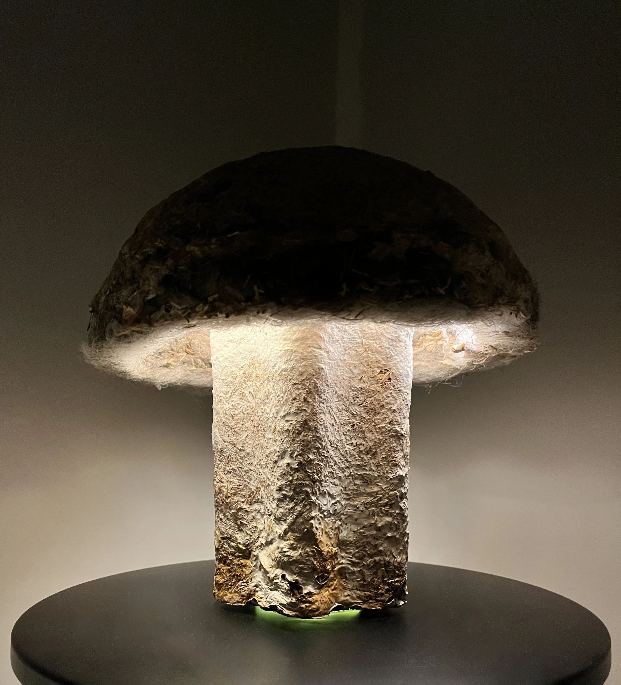 reishi mycelium lamp made from recycled wool and coffee grounds
