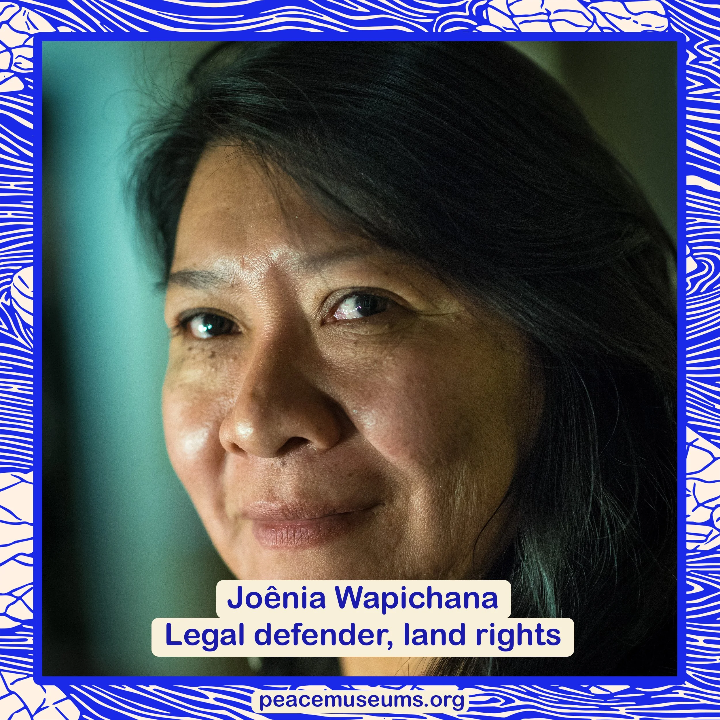 Joênia Wapichana.jpg