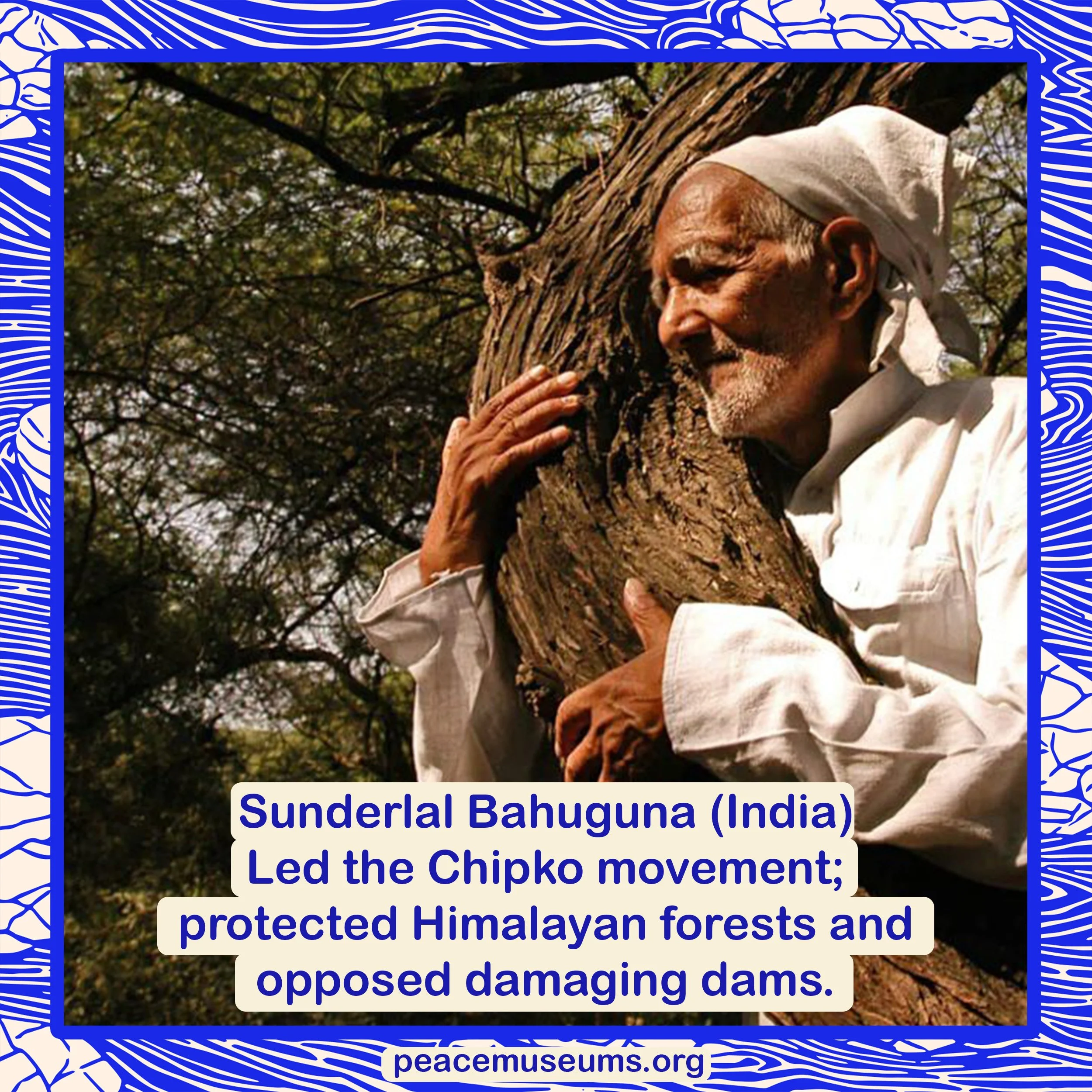 Sunderlal Bahuguna.jpg