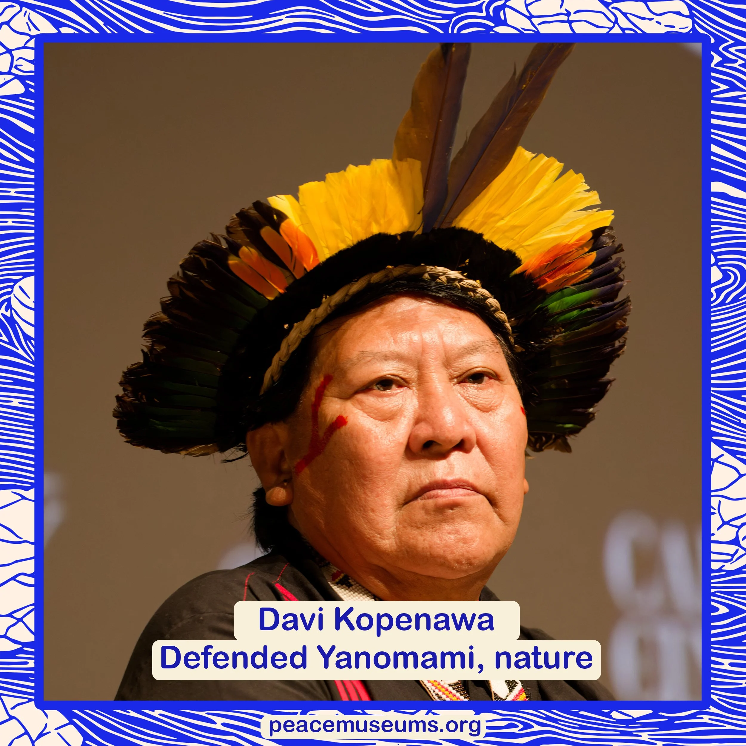 Davi Kopenawa.jpg