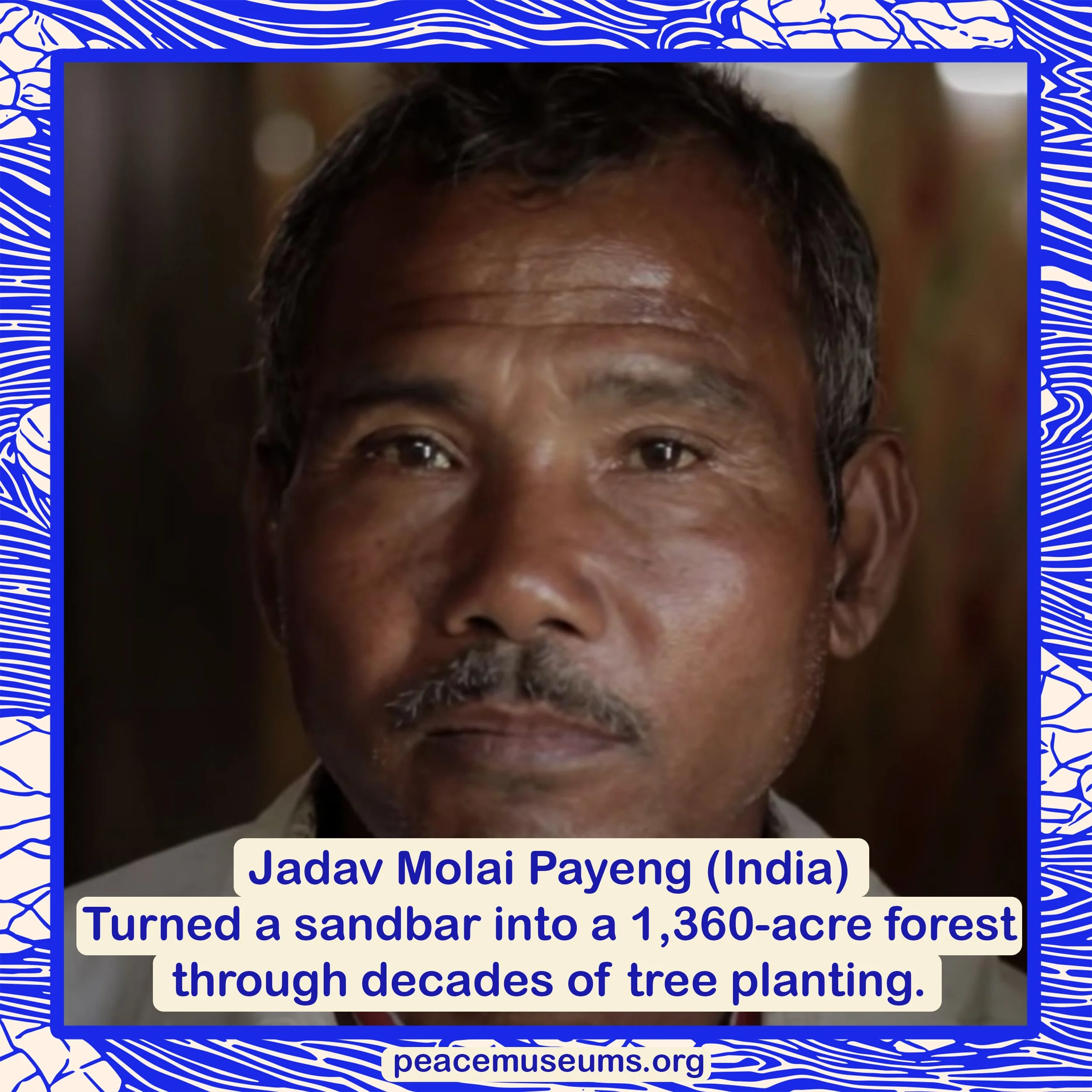 Jadav Molai Payeng.jpg