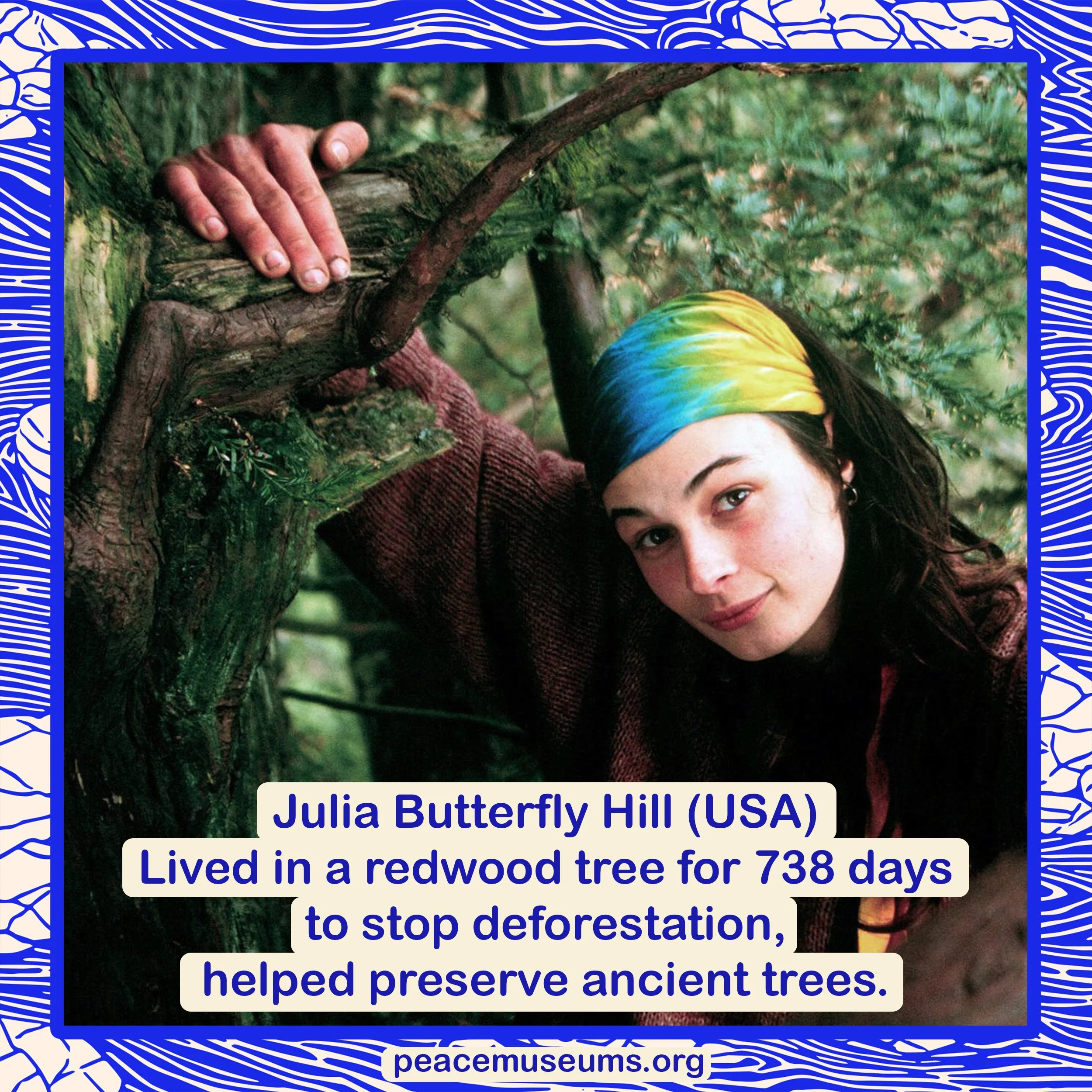Julia Butterfly Hill .jpg