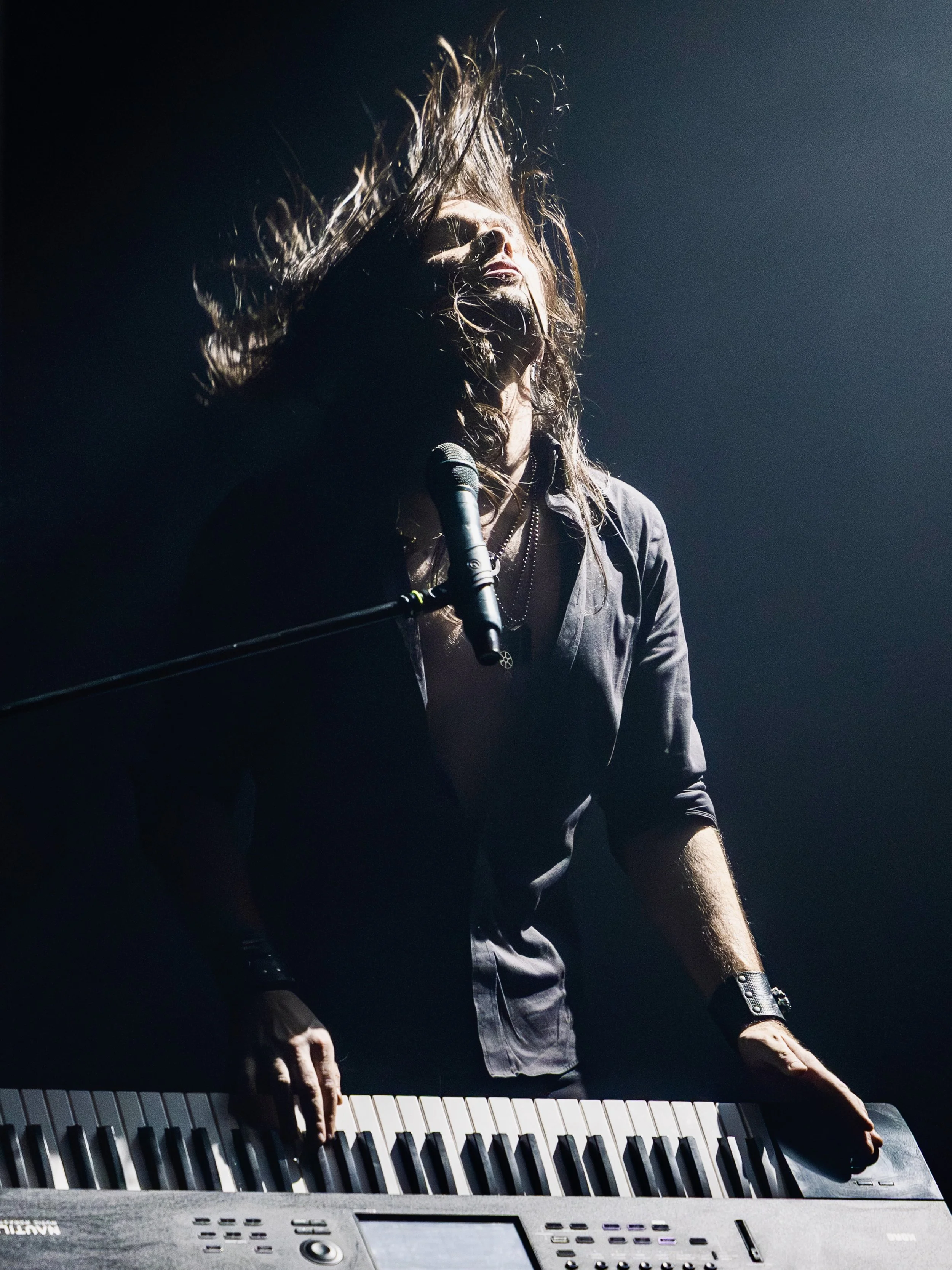 dino boogaloo-6.jpeg