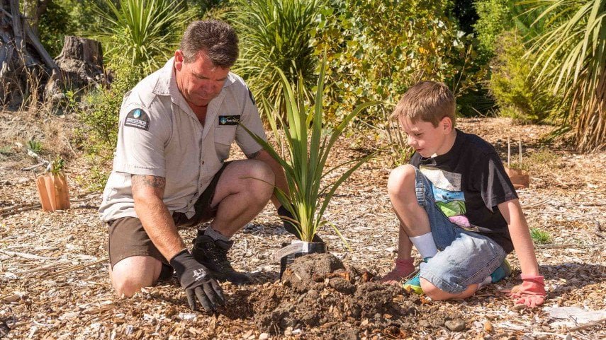 Tree Planting.jpg