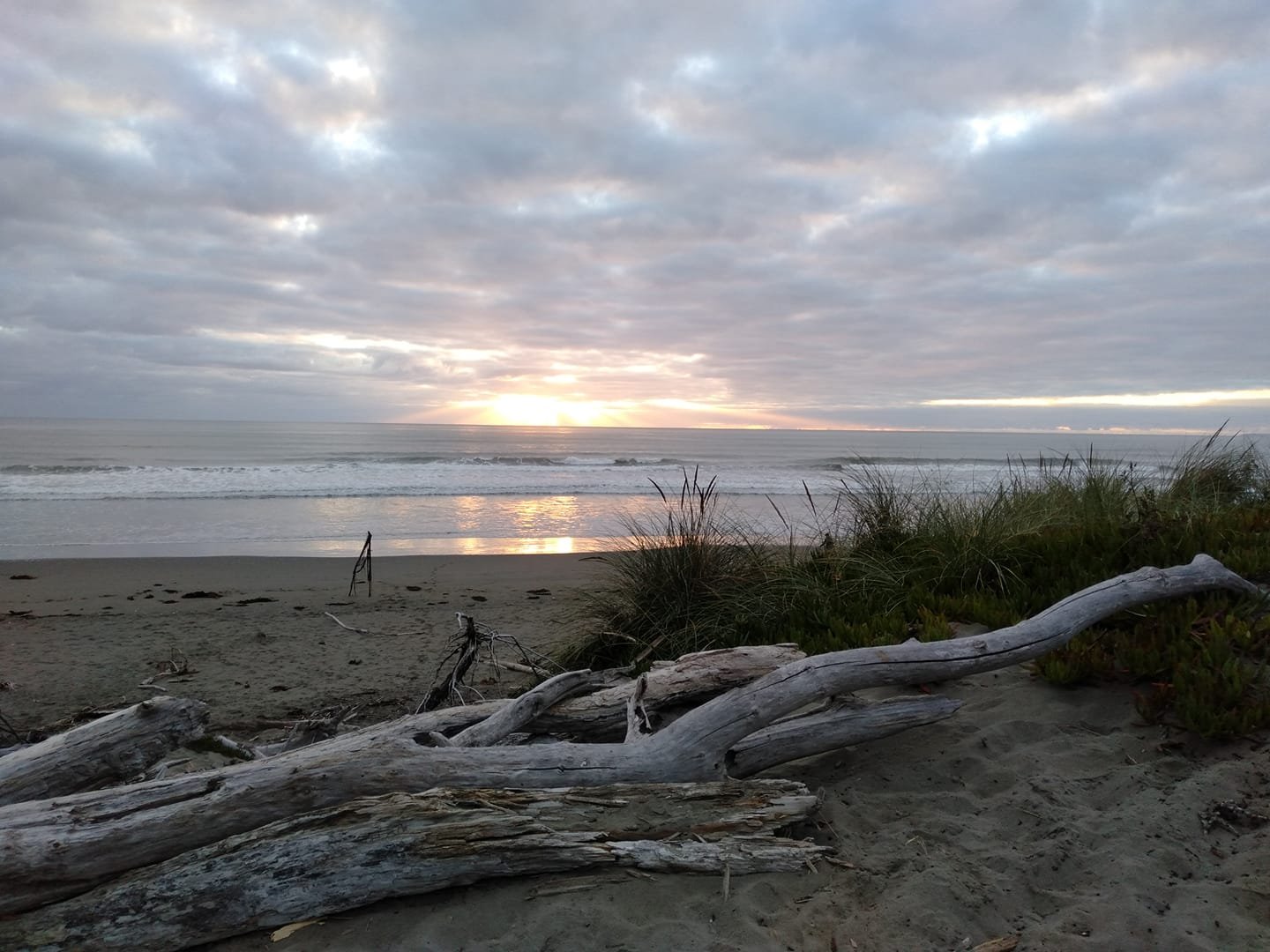 Photo taken by Diane Hubrick