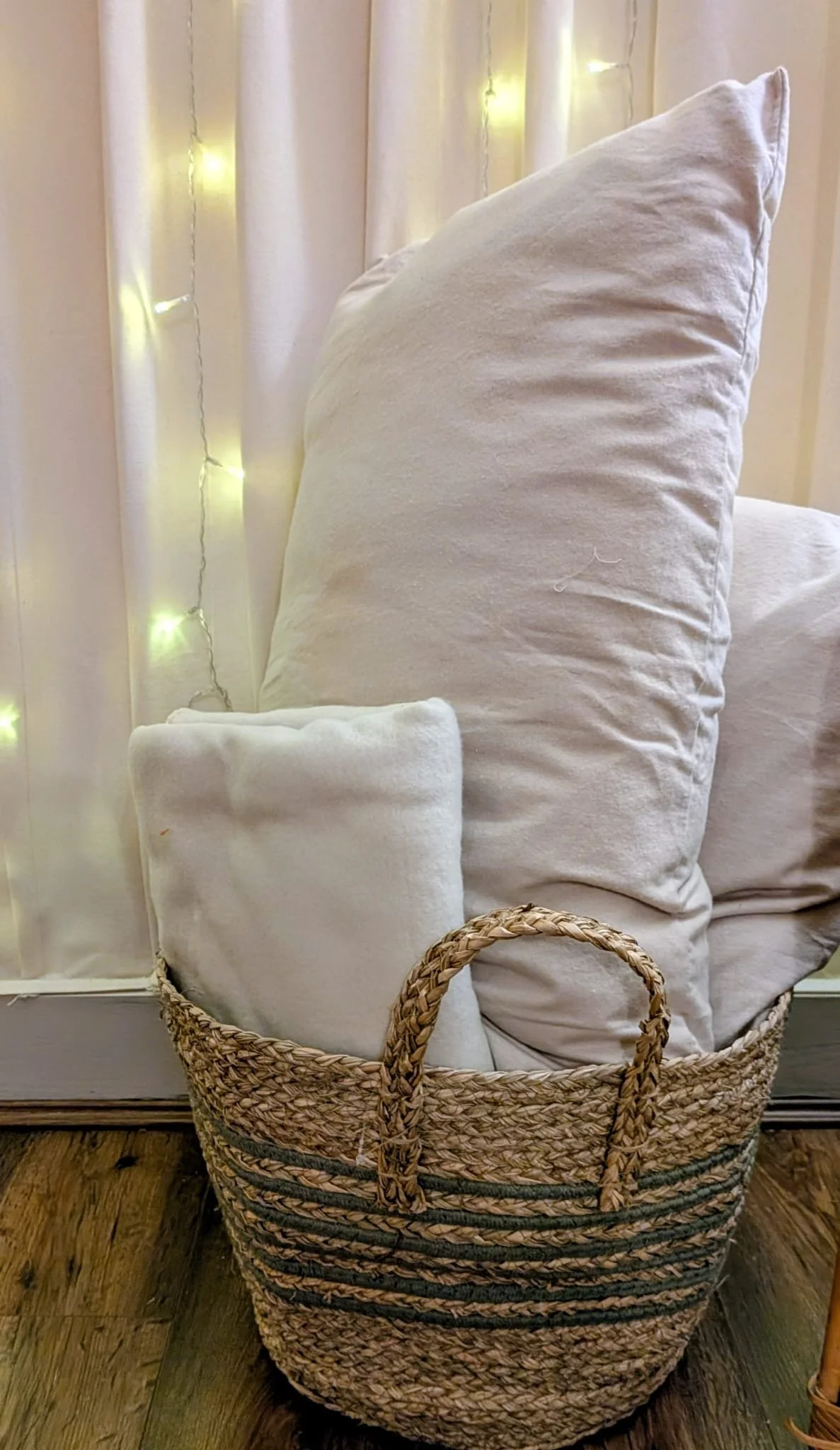 c168b405-7e7a-44ea-aeb0-b43283b32cf8 2.JPG