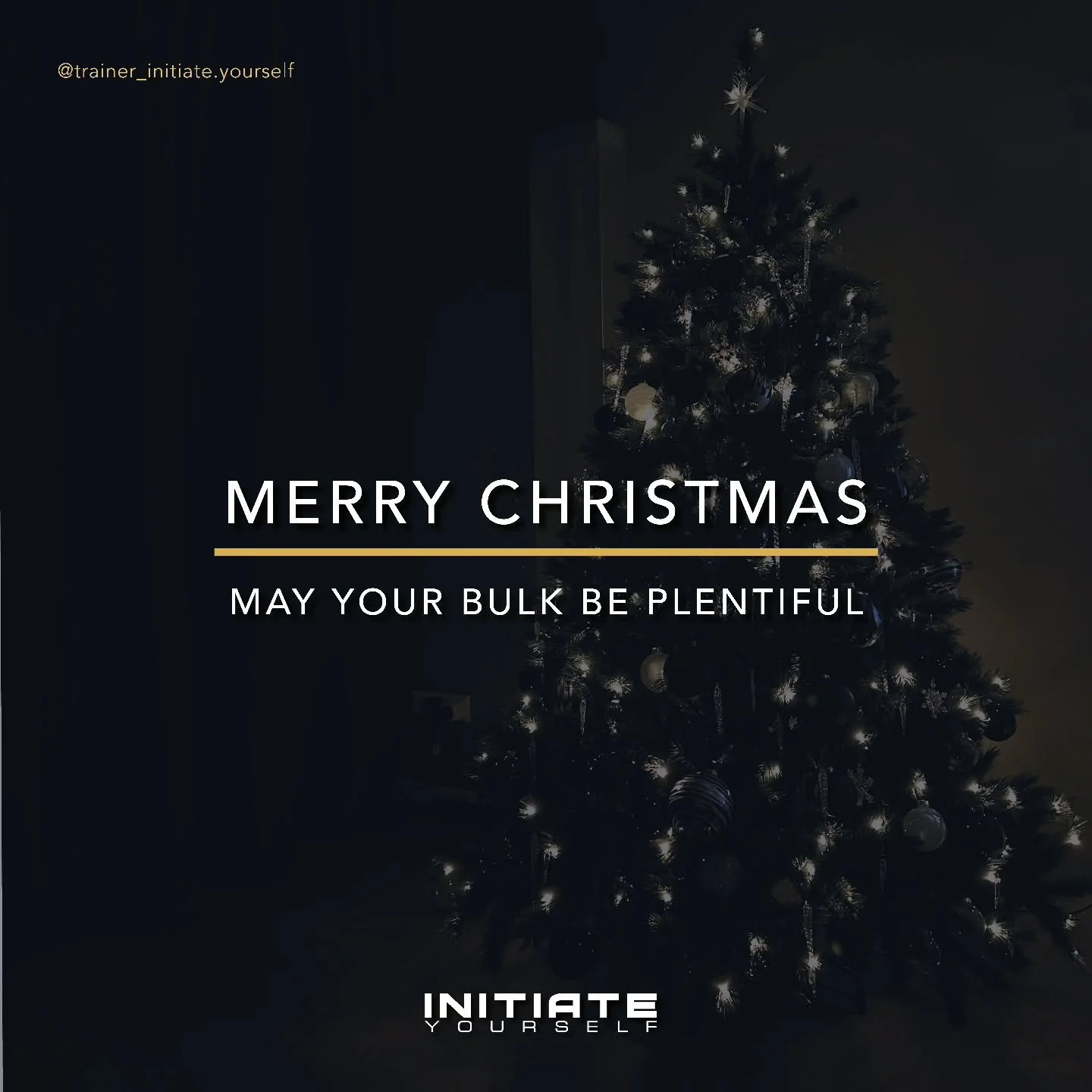 Jokes aside, take the Christmas days to take some load off of the daily things and training.

Enjoy the holidays!

#onlinestrengthcoach #streetlifting #rehabtoperformance #christmas #calisthenics