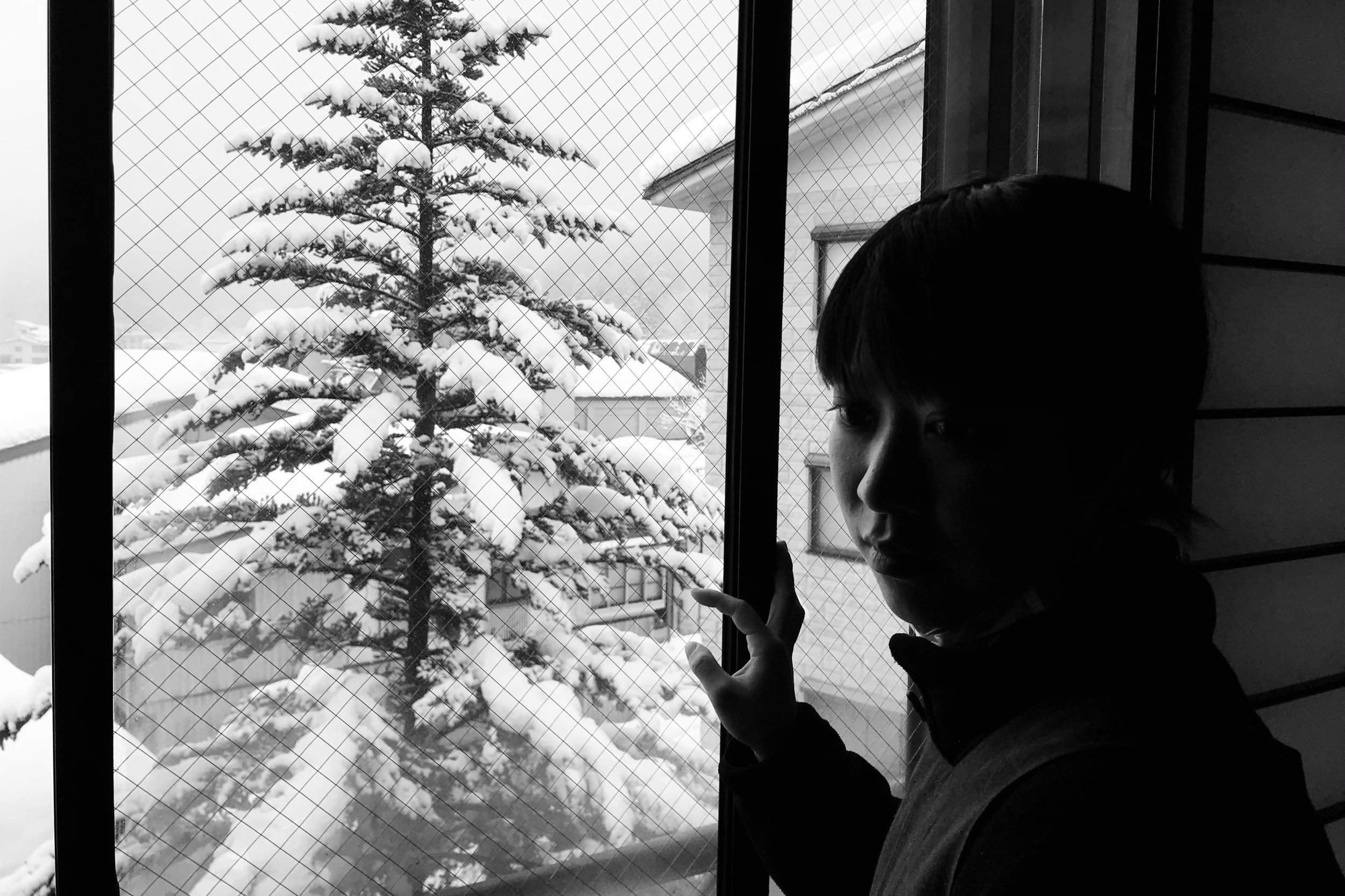 nozawa winter 3x2.jpg