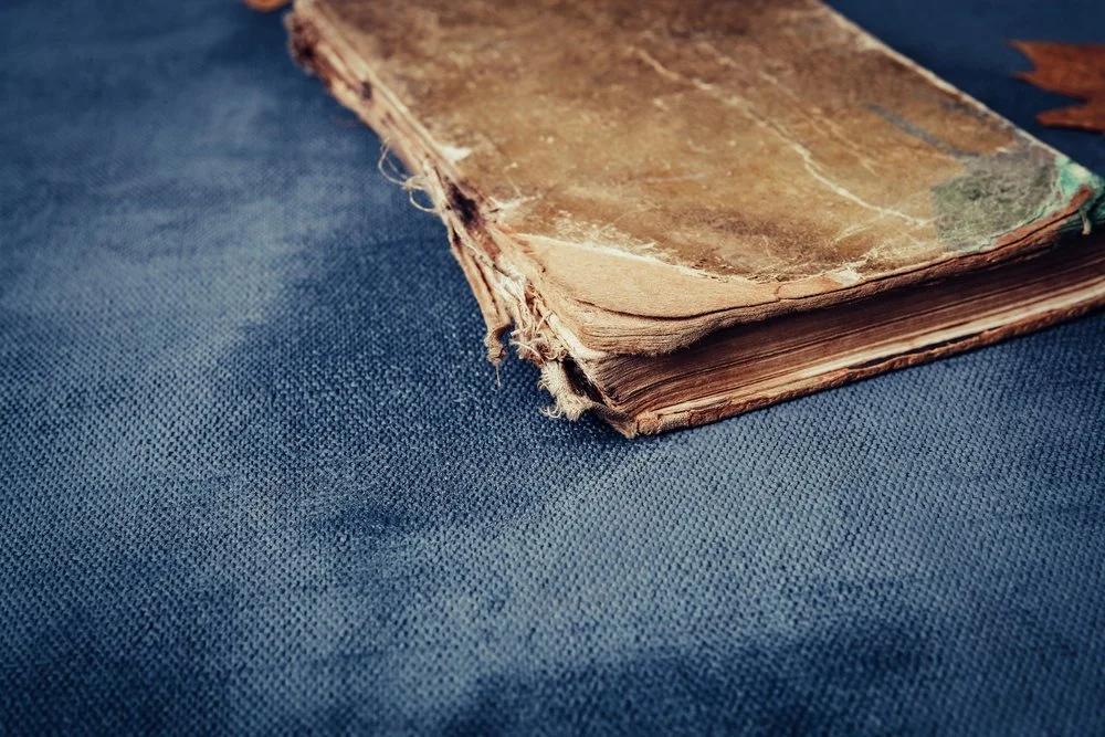 Is your CV ageing you? How experienced professionals can modernise their profile