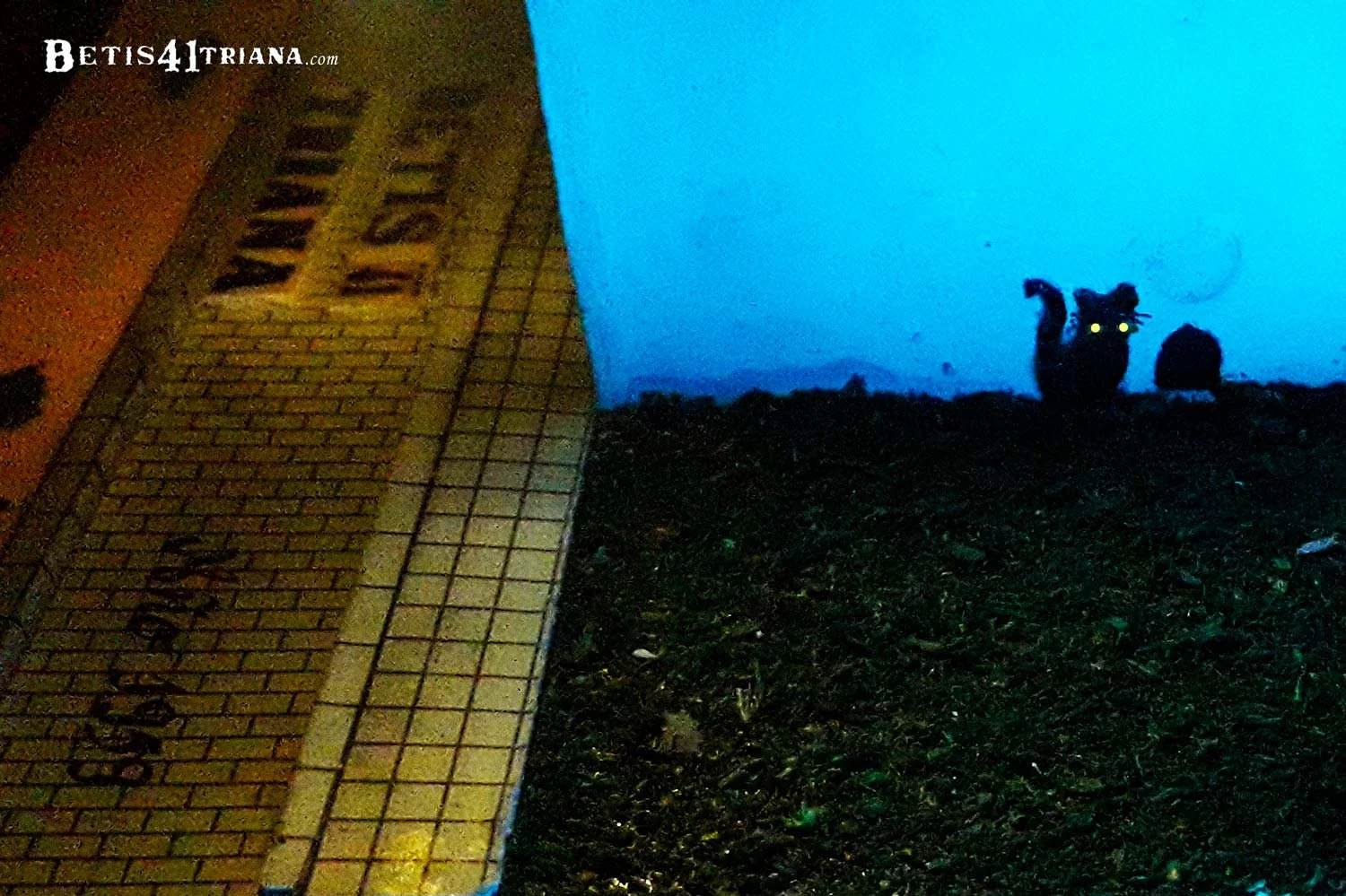 Noche. Esquina derecha de la fachada