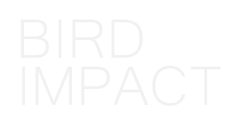 Bird Impact