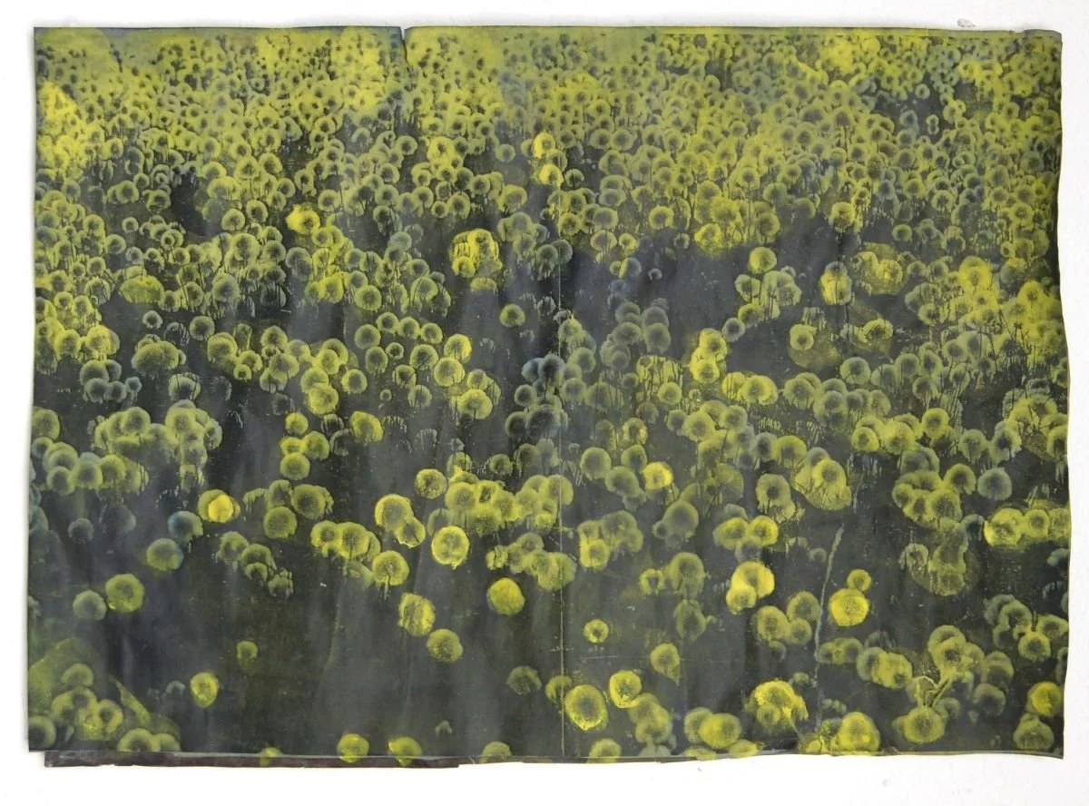 Ies Schute 'Nepenthe' Atelier 21, Zierikzee