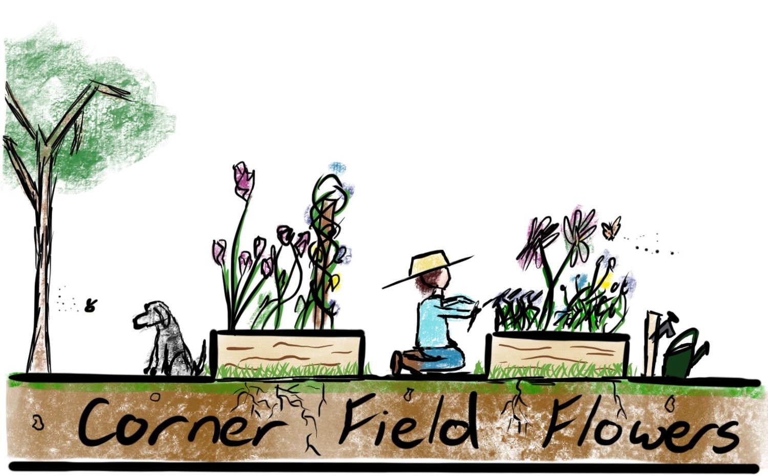 Corner Field Flowers