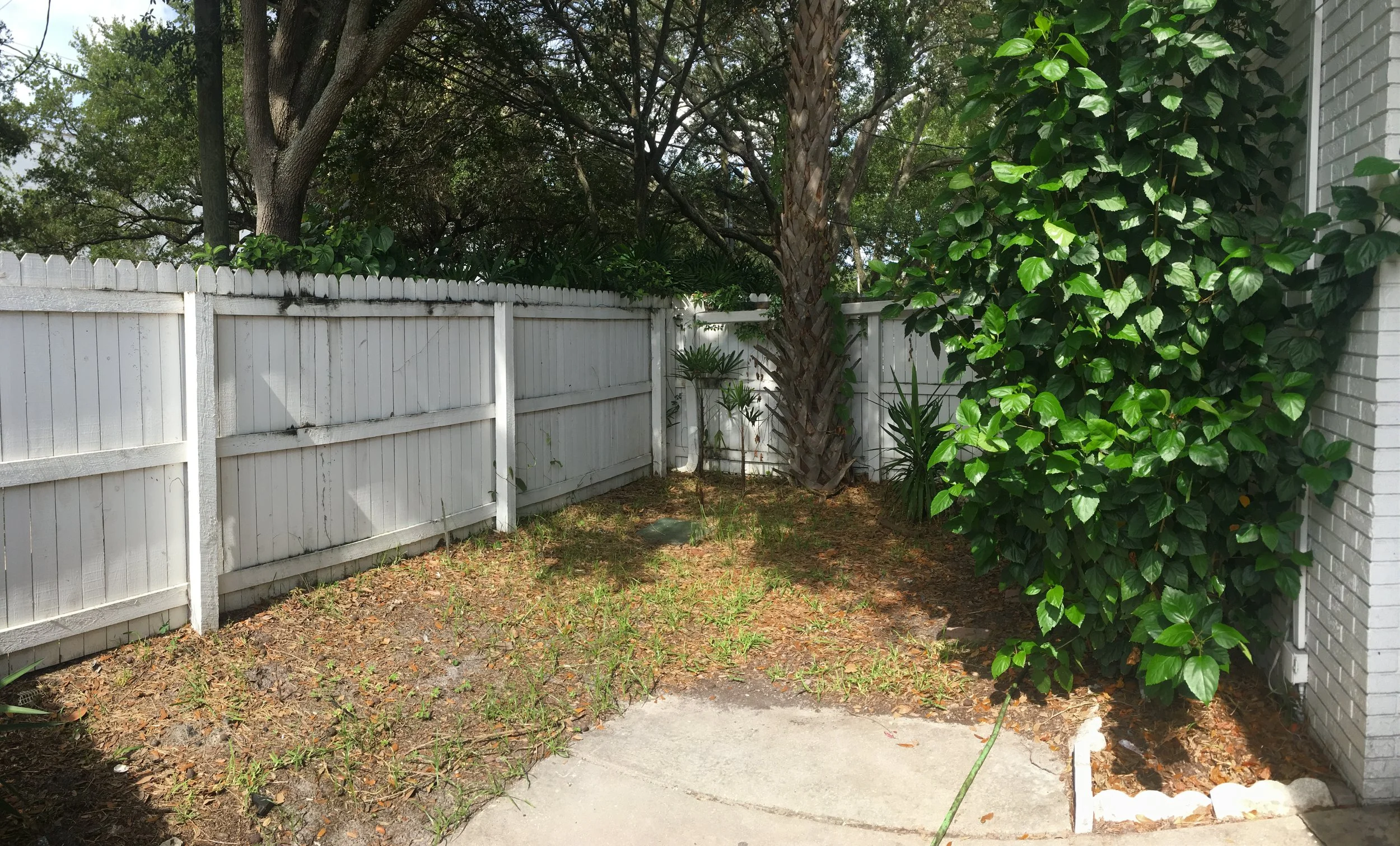 Photo Jun 18, 10 32 46 AM.jpg