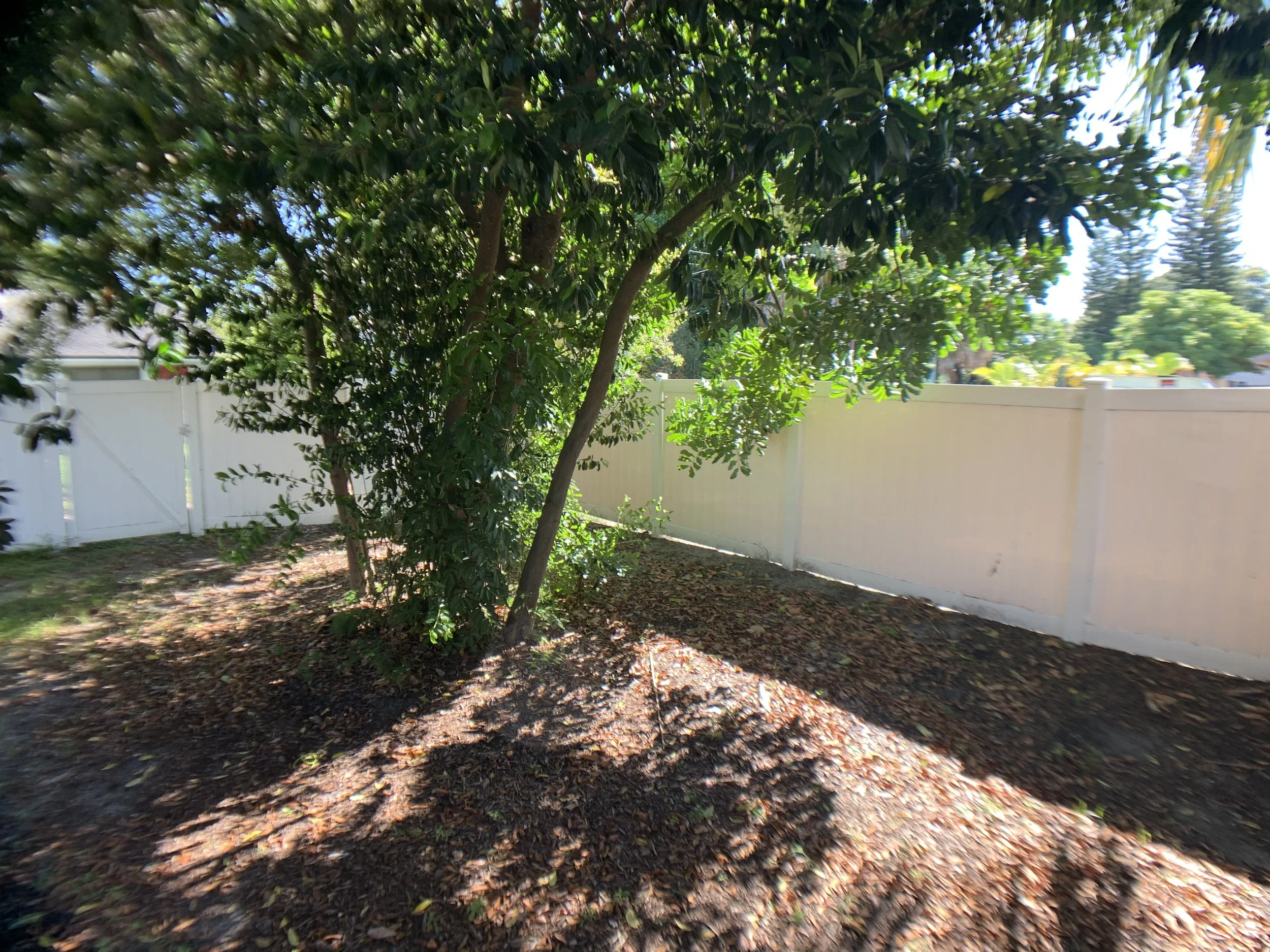 Photo Jul 20, 9 58 00 AM.jpg