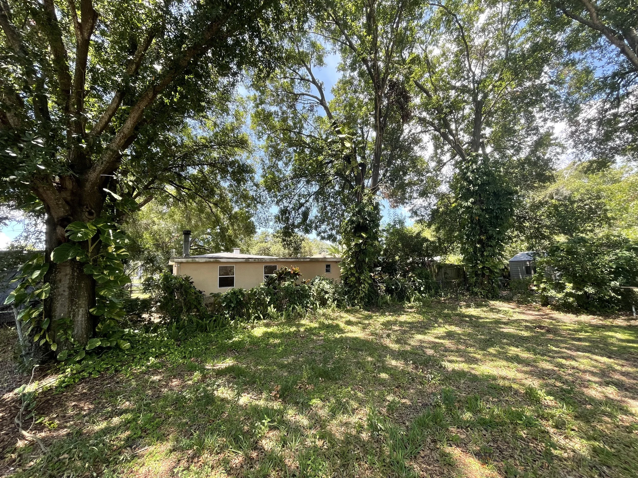 Photo Jun 06, 12 40 37 PM.jpg