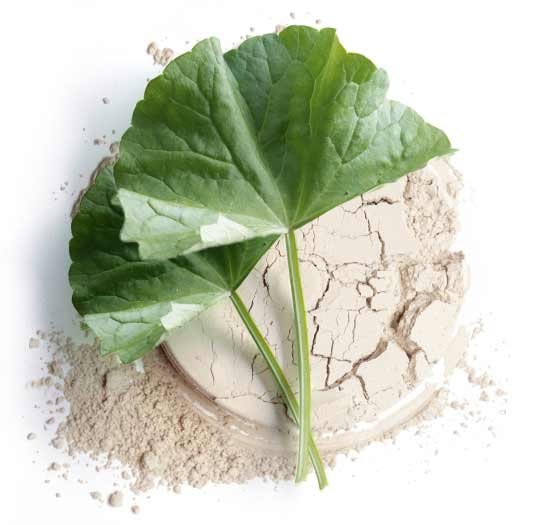 Hydropeptide balancing mask ingredients