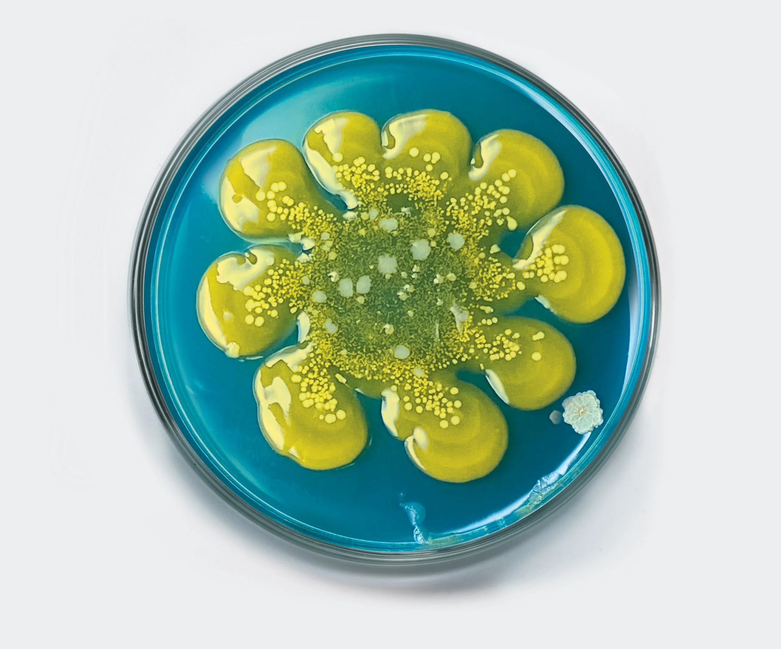 Best Facial for Hormonal Acne in St Albans (What Actually Works)