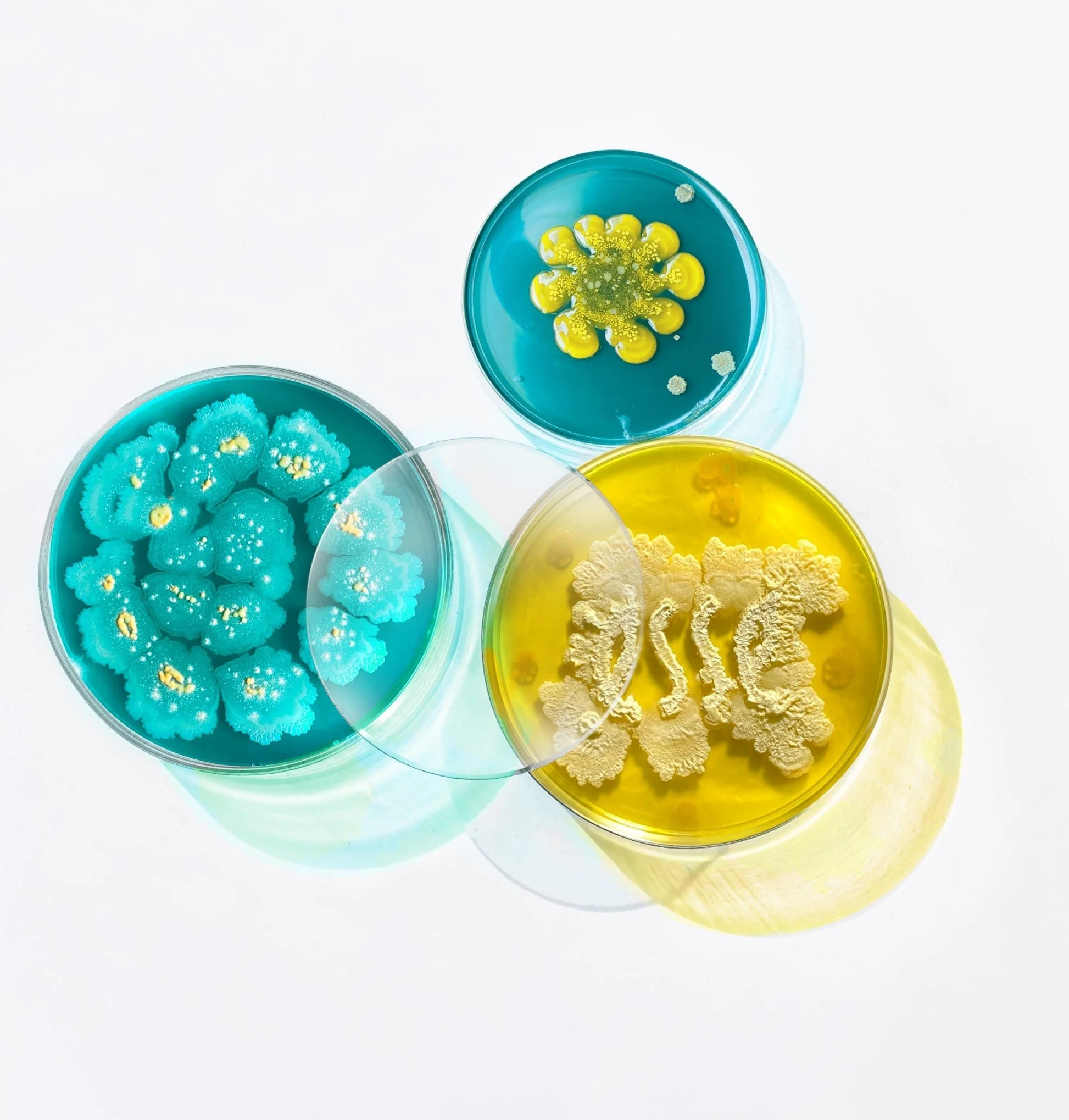Why Is Everyone Talking About Peptides in Skincare Right Now?