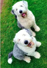 Screenshot 2023-08-06 at 23.37.16.png