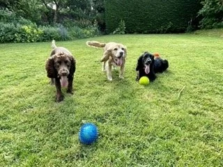 FullSizeRender Small.jpeg