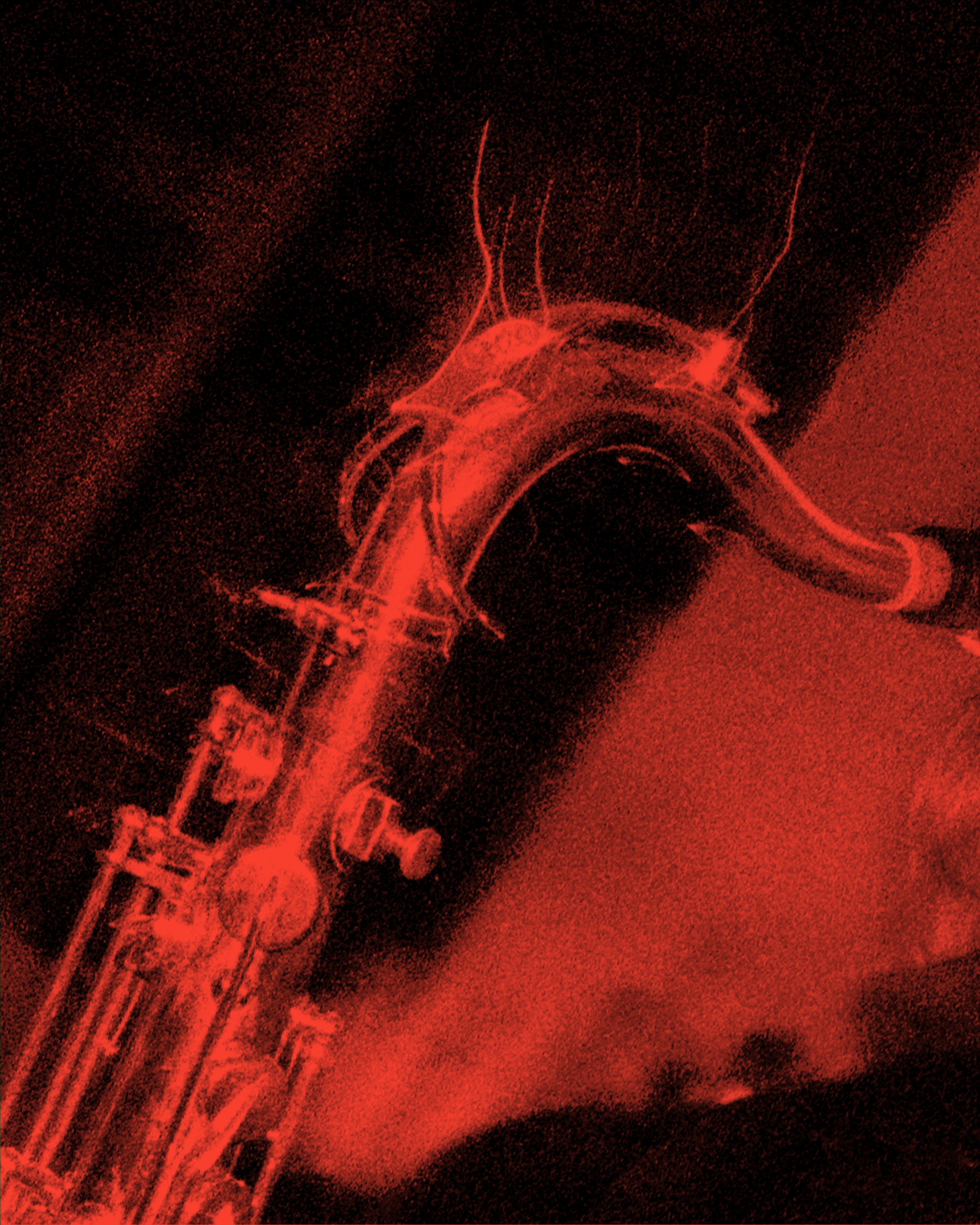 24_011 BW_20240229_scan0007_vermillion.png