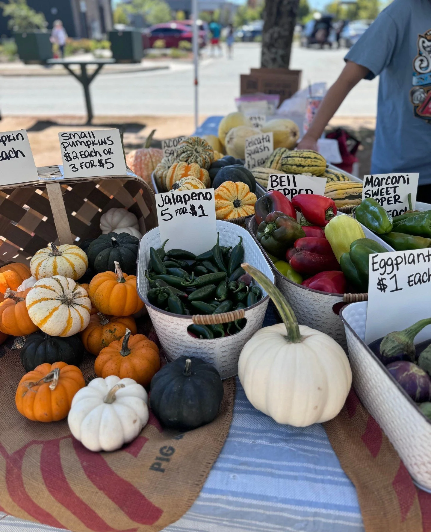 Happy October and happy pumpkin season! Make plans to visit our pumpkin patch, in partnership with Reed's Farmers Market, every Friday-Sunday in October. Their amazing pumpkins, mums, gourds, and more are perfect for all your Fall d&eacute;cor needs!