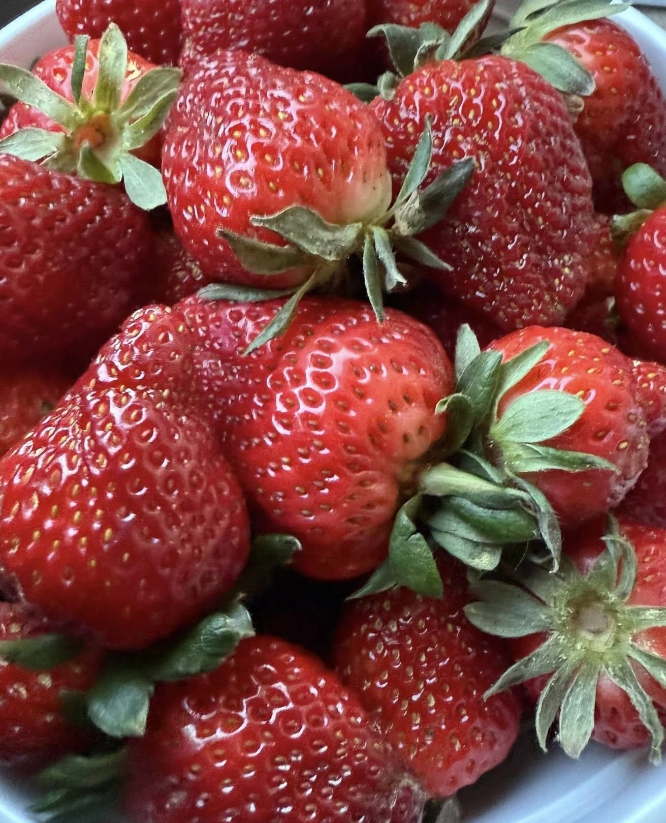 🍓 THE STRAWBERRY TRAIL IS TODAY🍓⁠
Come out to the Market at MidCity from 12-4pm for a special day jam packed with all the fresh, local strawberry goodness!!!⁠
⁠
✨️Full vendor list in the comments!⁠
⁠
Spread the word!⁠
See you SOON!⁠
900 Mid City Dr