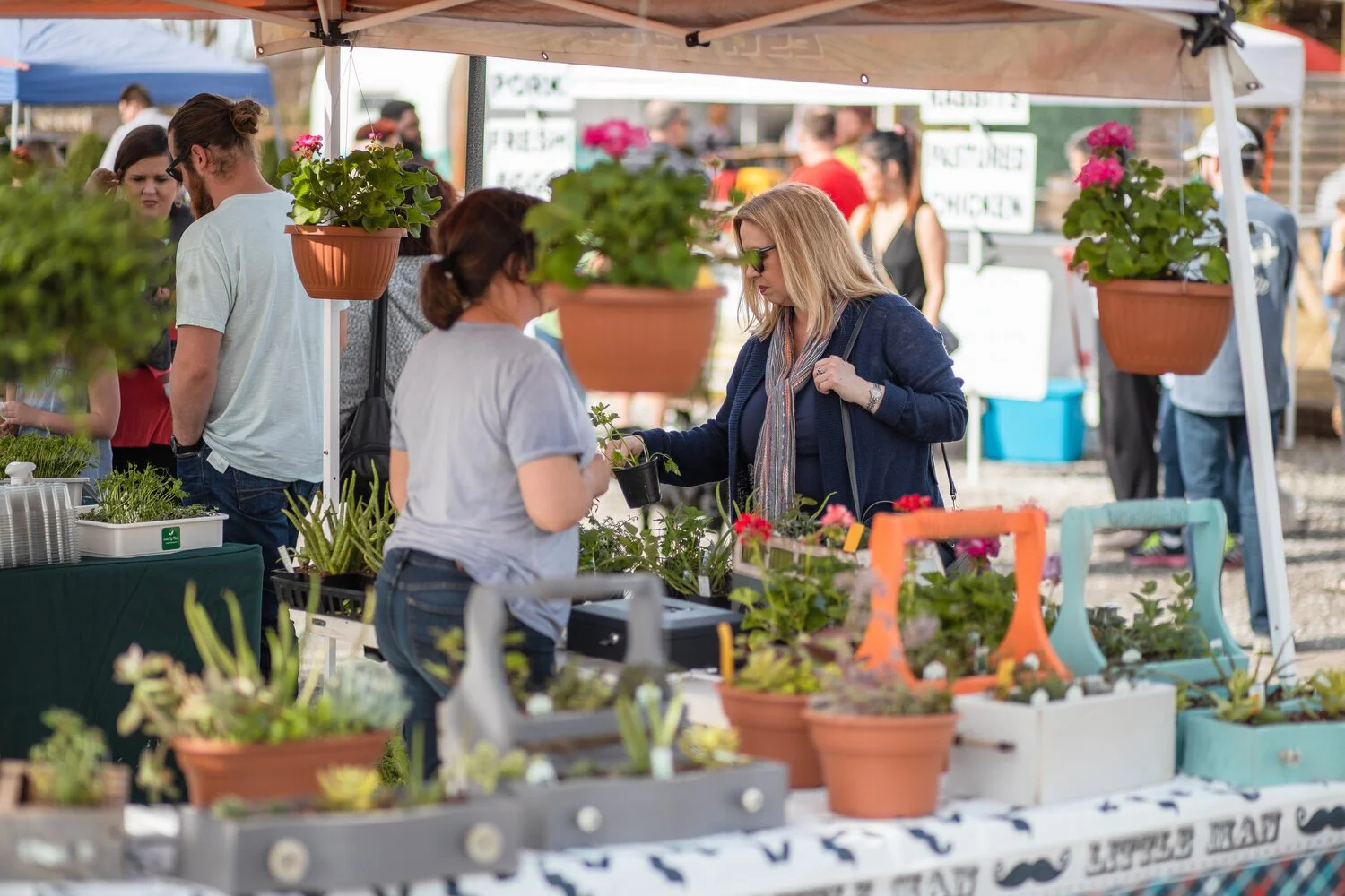 The Market at MidCity