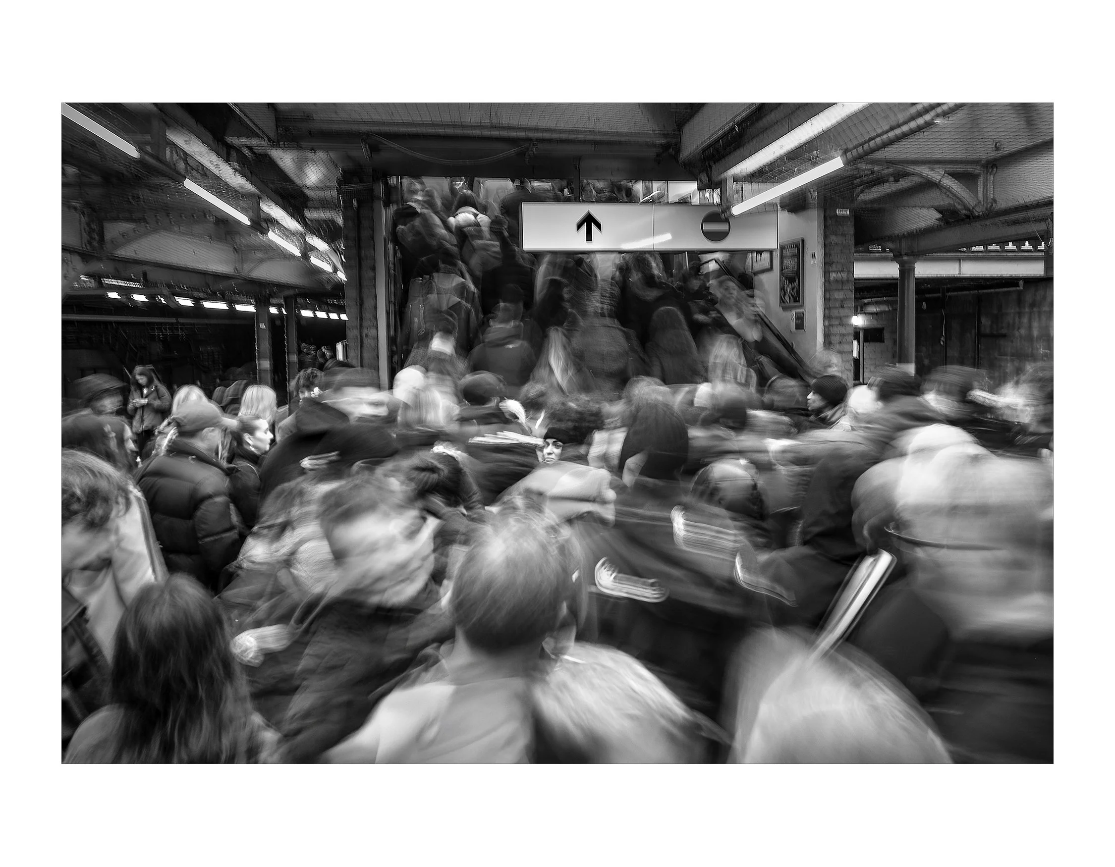 Face in the Crowd