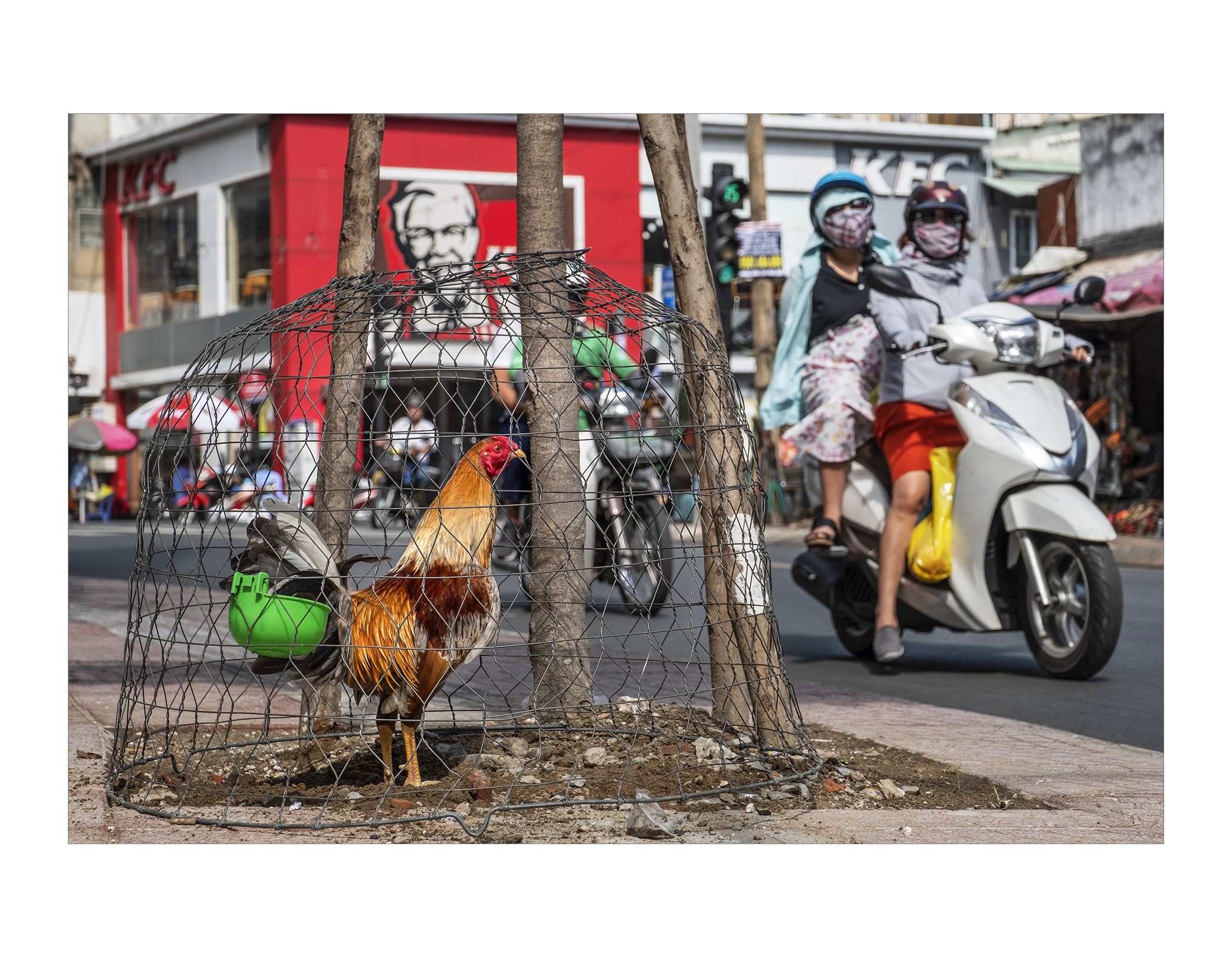 Saigon 3