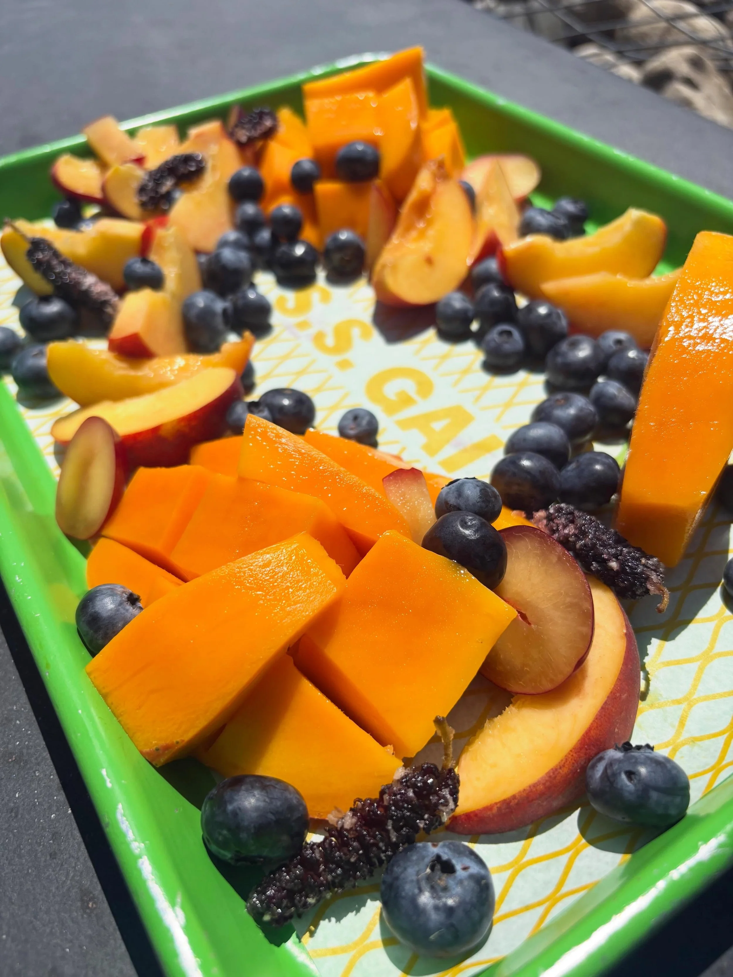 Miserably hot temps are back which means fruit tray is officially back!! Saving grace of summer. Certain to change with the season. Right now we have some killer mangoes, @harpethmoonfarm blueberries, plums, peaches and some fun dehydrated mulberries