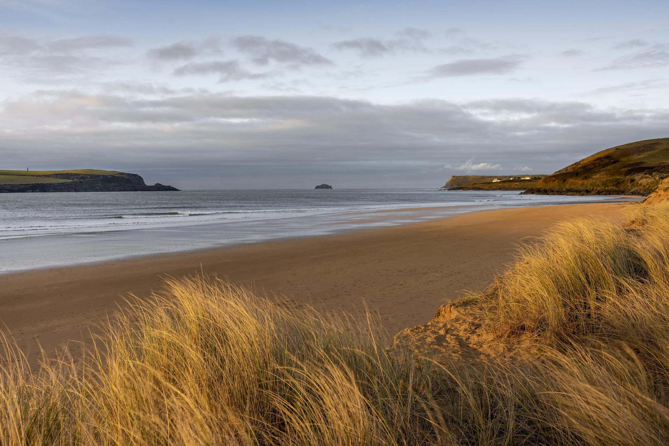 Golden Marram