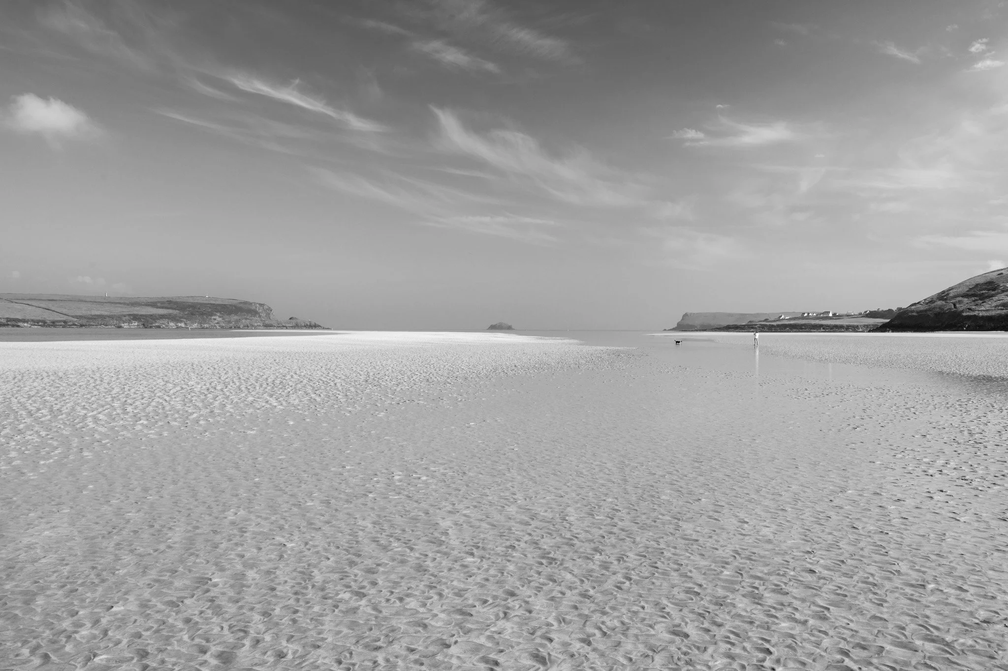 Dog Walks at Low Tide