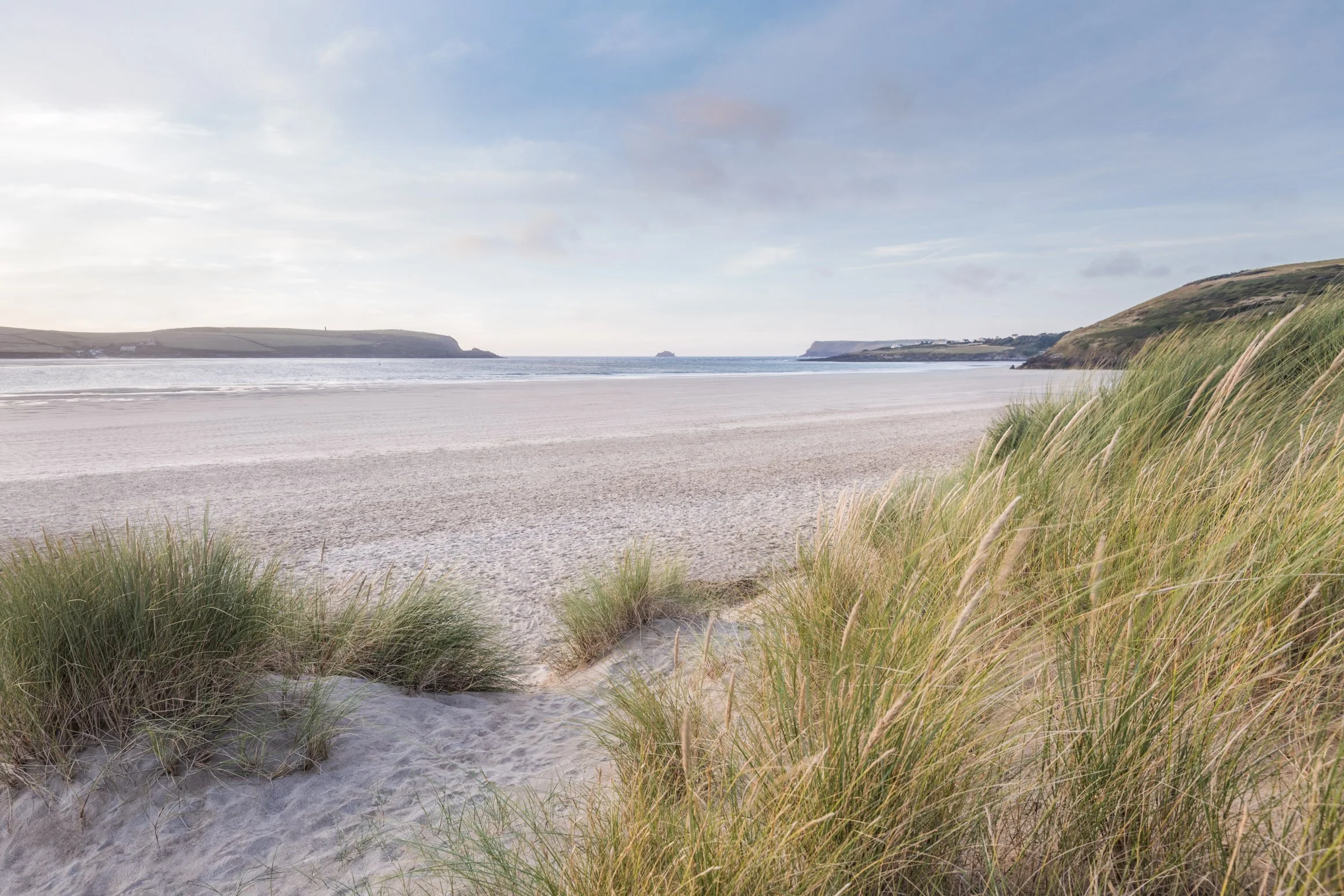 Brea's Marram [877]