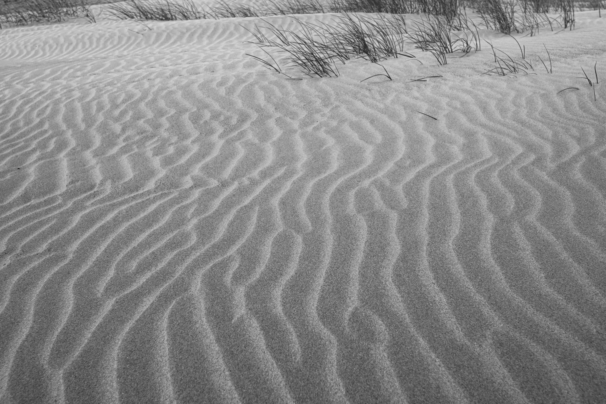 Wind Art