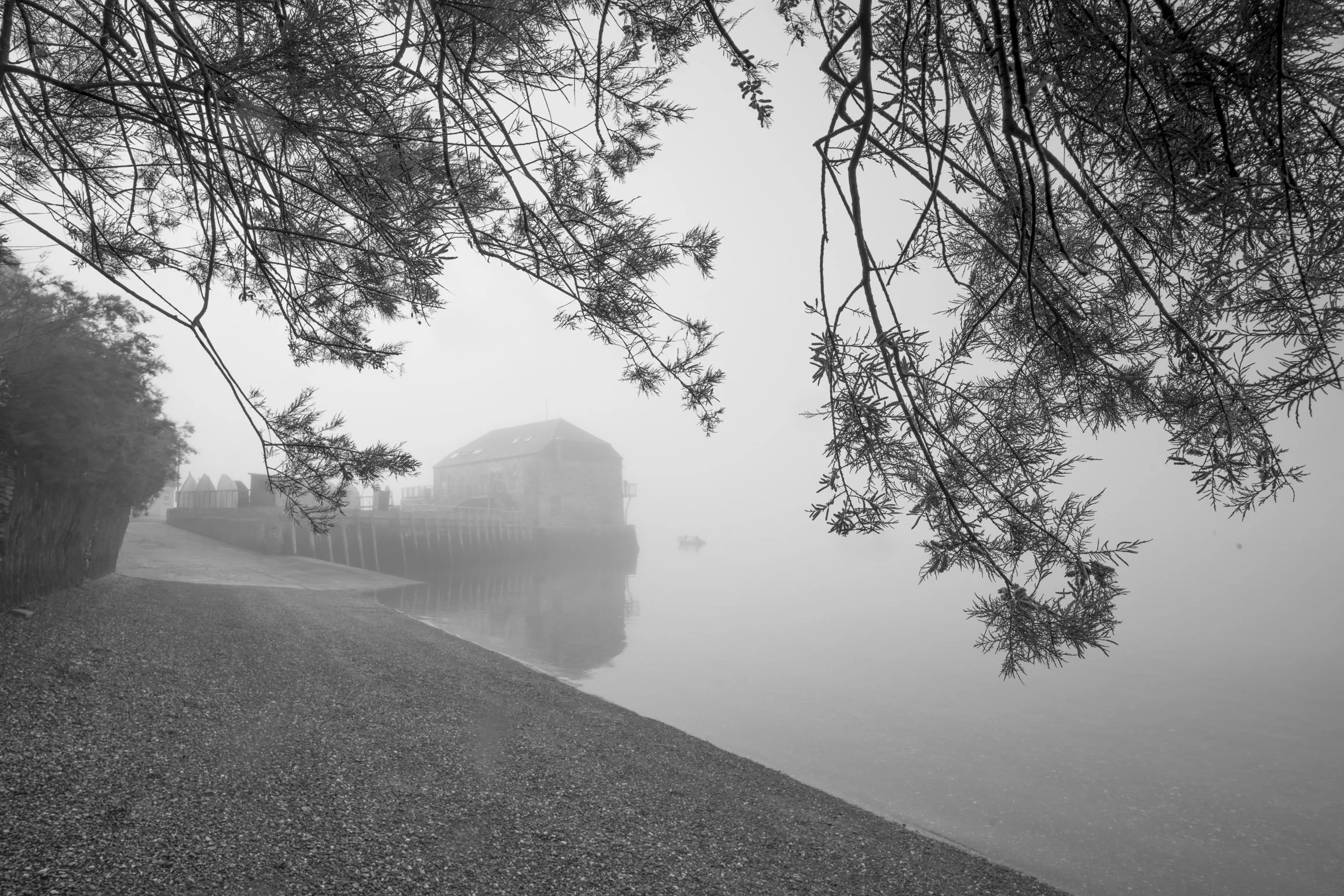 Dawn Fret at the Sailing Club  [1170]