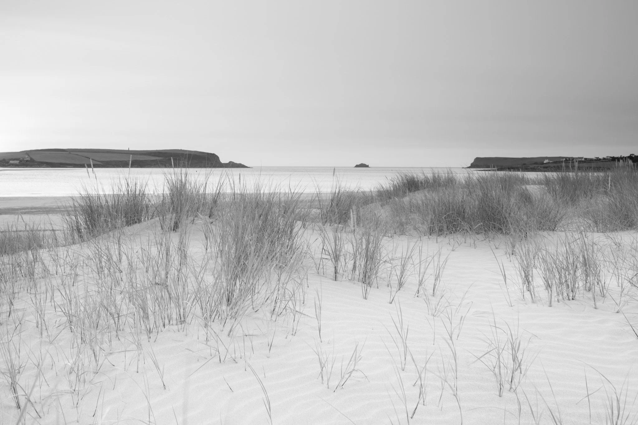 Brea Marram