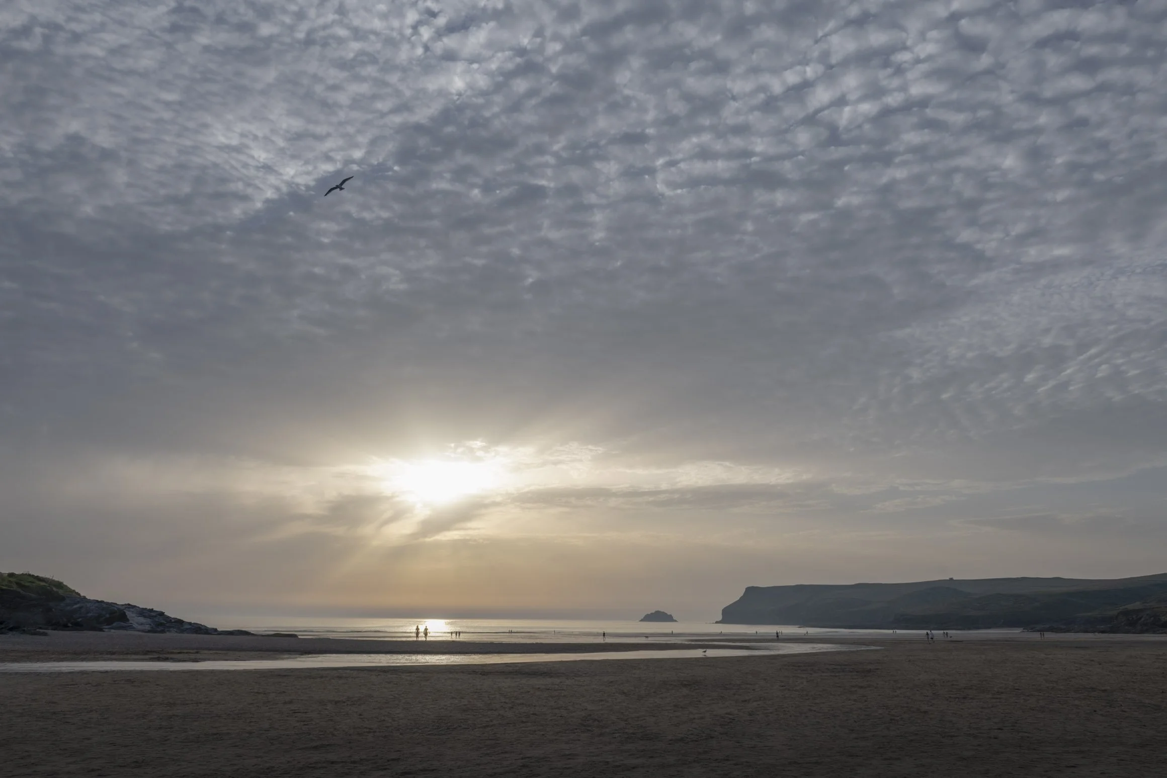 Summer Nights Polzeath