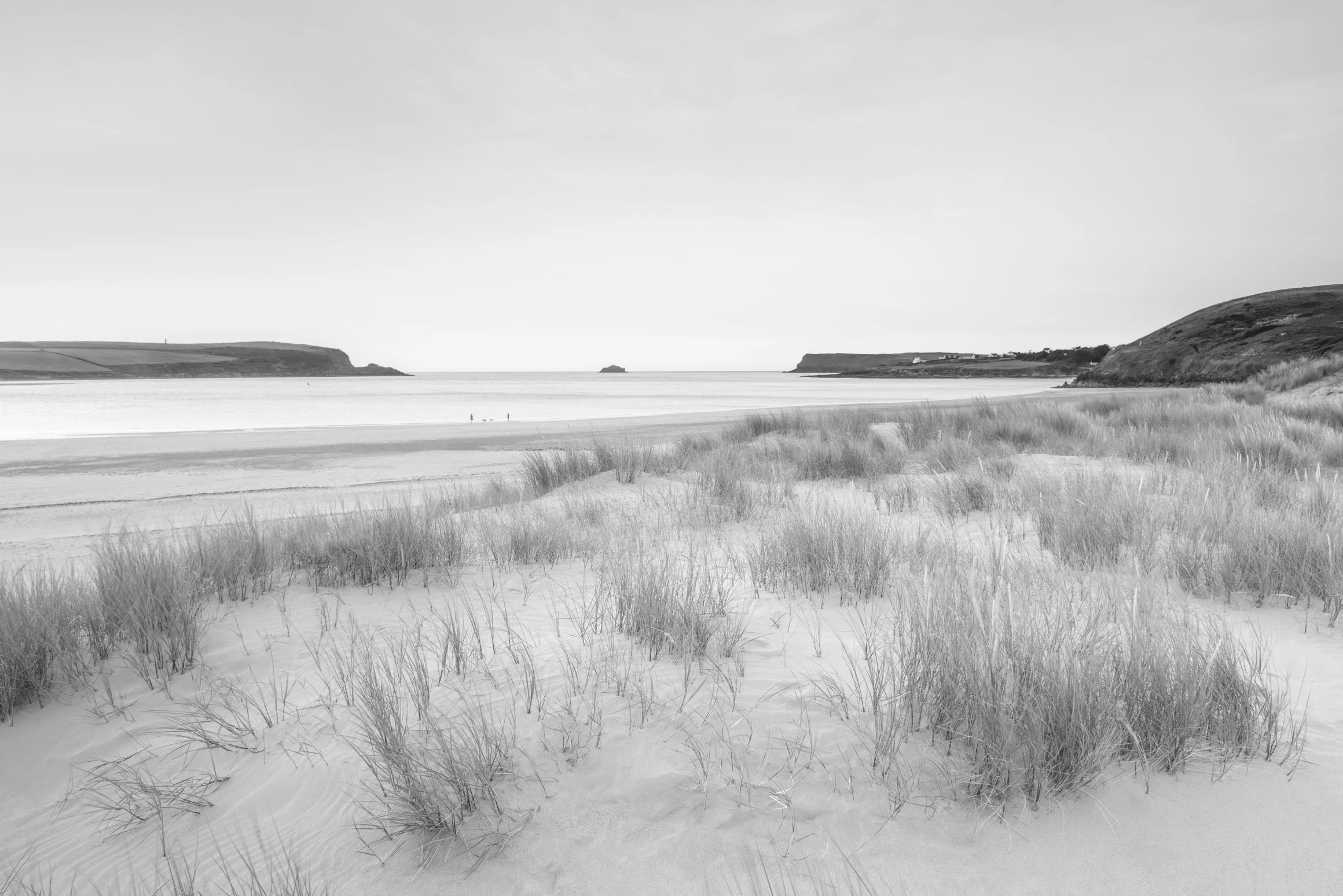 Morning Walk at Rock  [884]