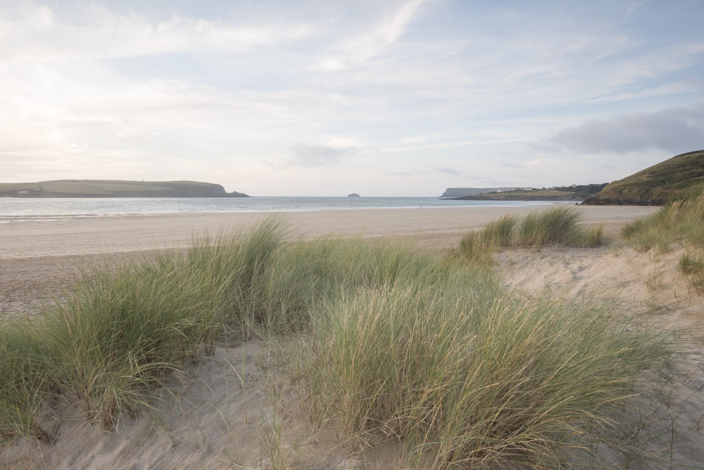 Soft Marram at Rock (1191)