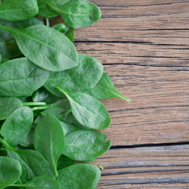 On National Spinach Day, we&rsquo;re reminded that what we &ldquo;feed&rdquo; ourselves matters&hellip; not just physically, but emotionally too.

Healthy thoughts. Supportive relationships. Time to rest and reset.

At H14 Counseling, we&rsquo;re her