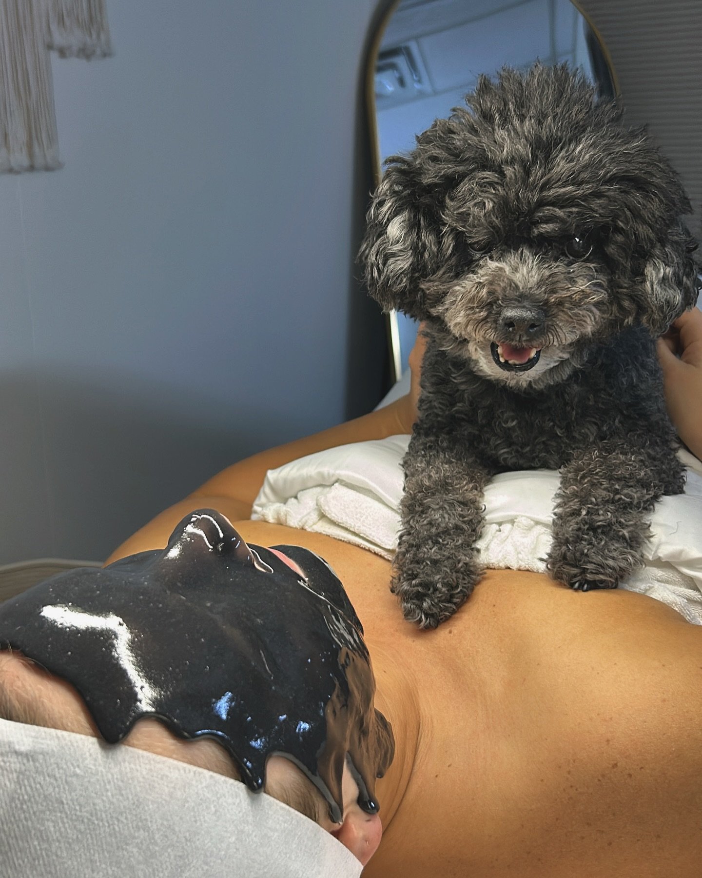 What a day 😅 idk about you, but if you&rsquo;re in need of some self care like i am after the last 24 hours, a facial is the perfect way to unwind (with optional cuddles from Darla girl 🐾 )

Limited availability next week! Highly recommend getting 