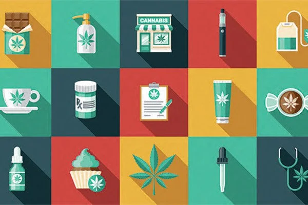 Understanding Cannabis Labels in New York: A Beginner-Friendly Guide
