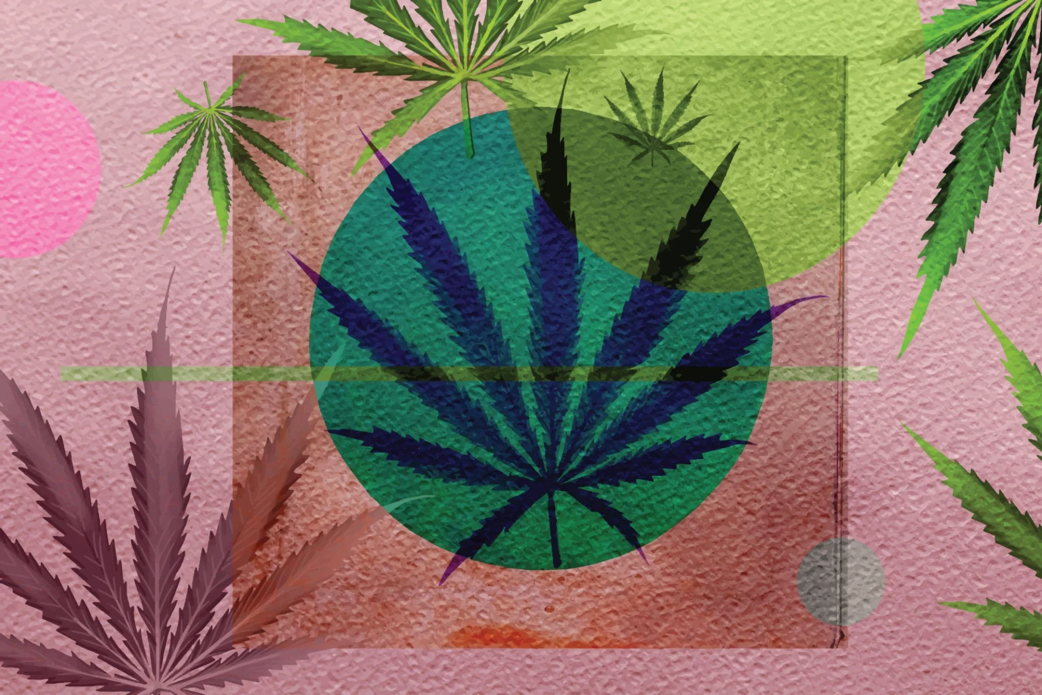 How Legal Cannabis Helps Create Safer Products for Consumers 