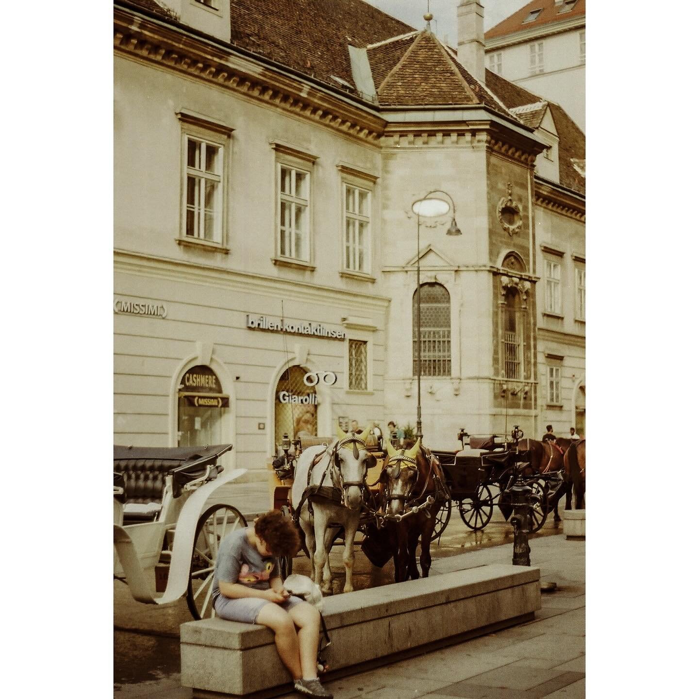 Vienna 2024 (horses trying to snoop in a kid&rsquo;s phone)

#wienfotografie#viennaonfilm