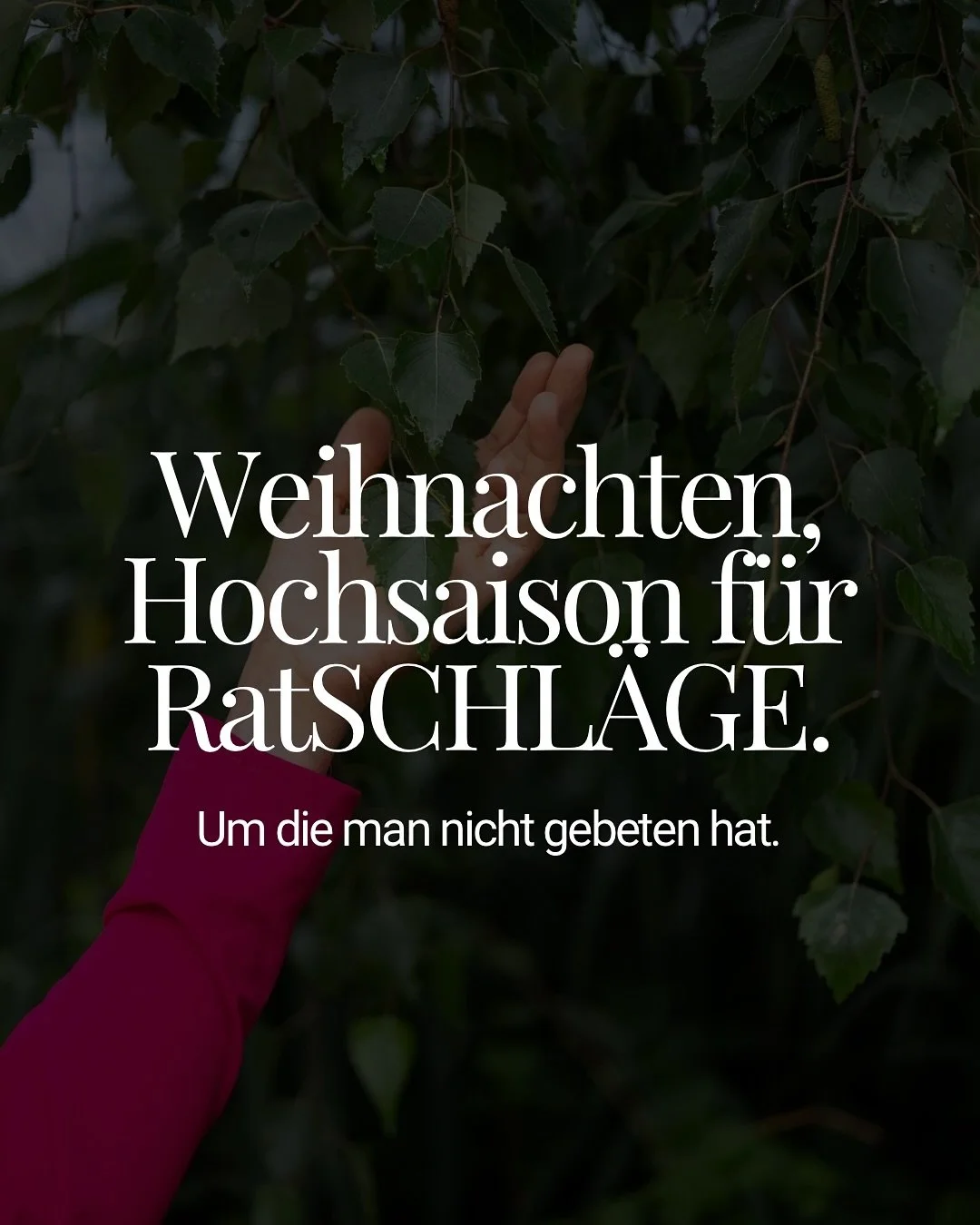 Weihnachten: Hochsaison f&uuml;r ungefragte Ratschl&auml;ge. 🎄 Aber nicht jeder Rat meint DICH.

Und genau das ist eine emotionale Schl&uuml;sselkompetenz:
 👉 Zu erkennen, wann sich ein Ratschlag mehr &uuml;ber den Sprecher verr&auml;t als &uuml;be